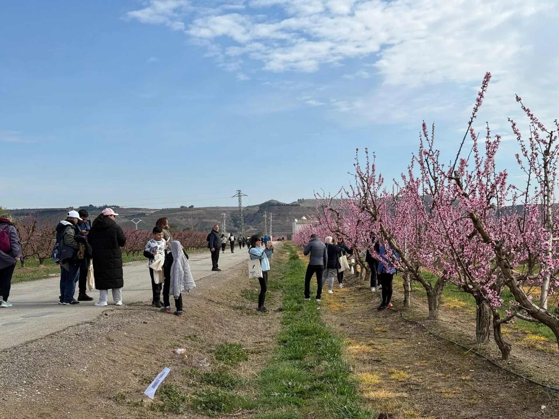 La IX Ruta de la Floración de Fraga amplía recorridos y ofrece más opciones para todos los niveles.