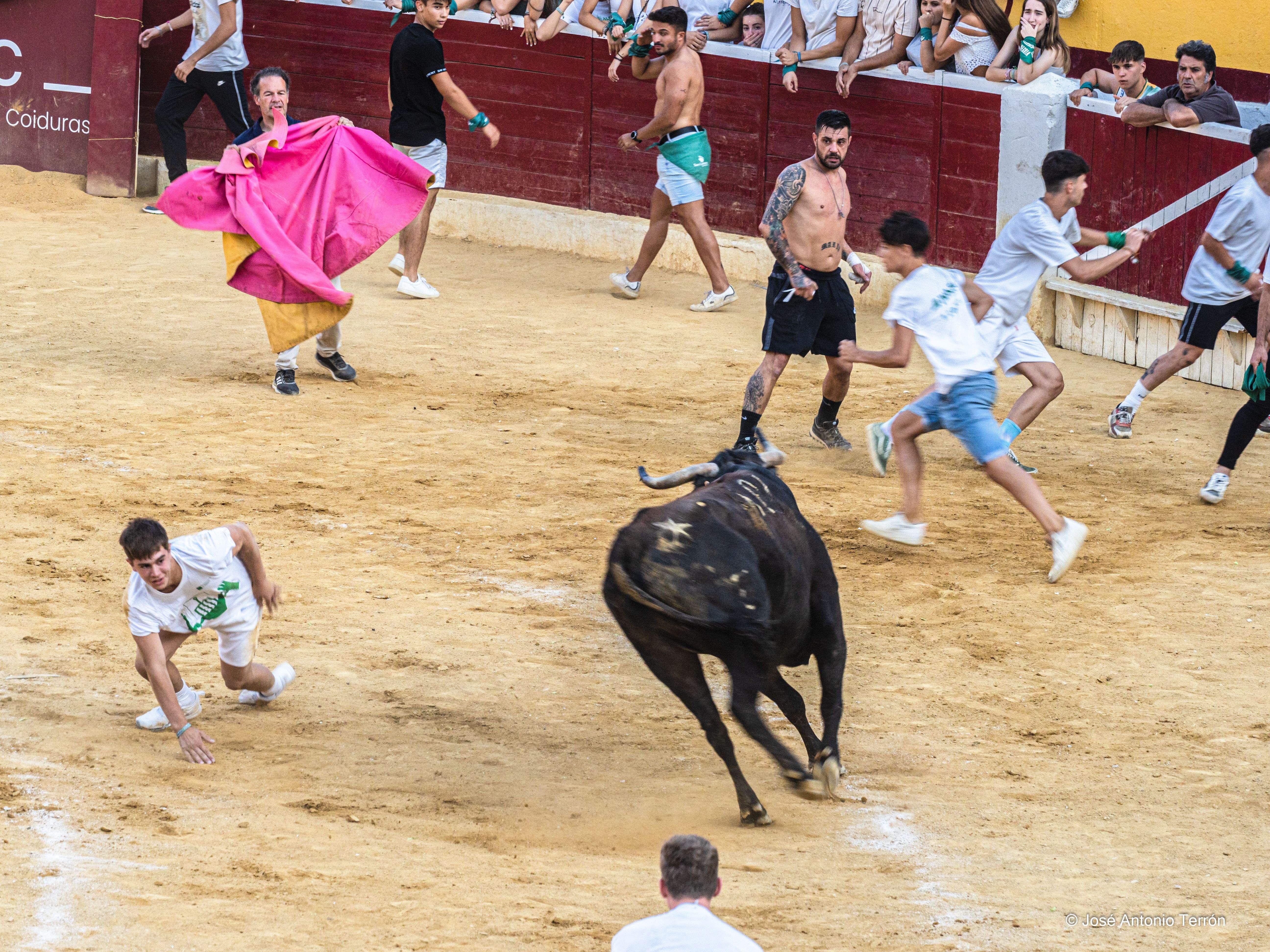 Vaquillas del día 11 de San Lorenzo. Foto José Antonio Terrón 
