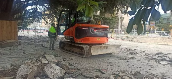 Árboles Vivos denuncia que ha comenzado el “arboricidio” por la megarrotonda en Martínez de Velasco.