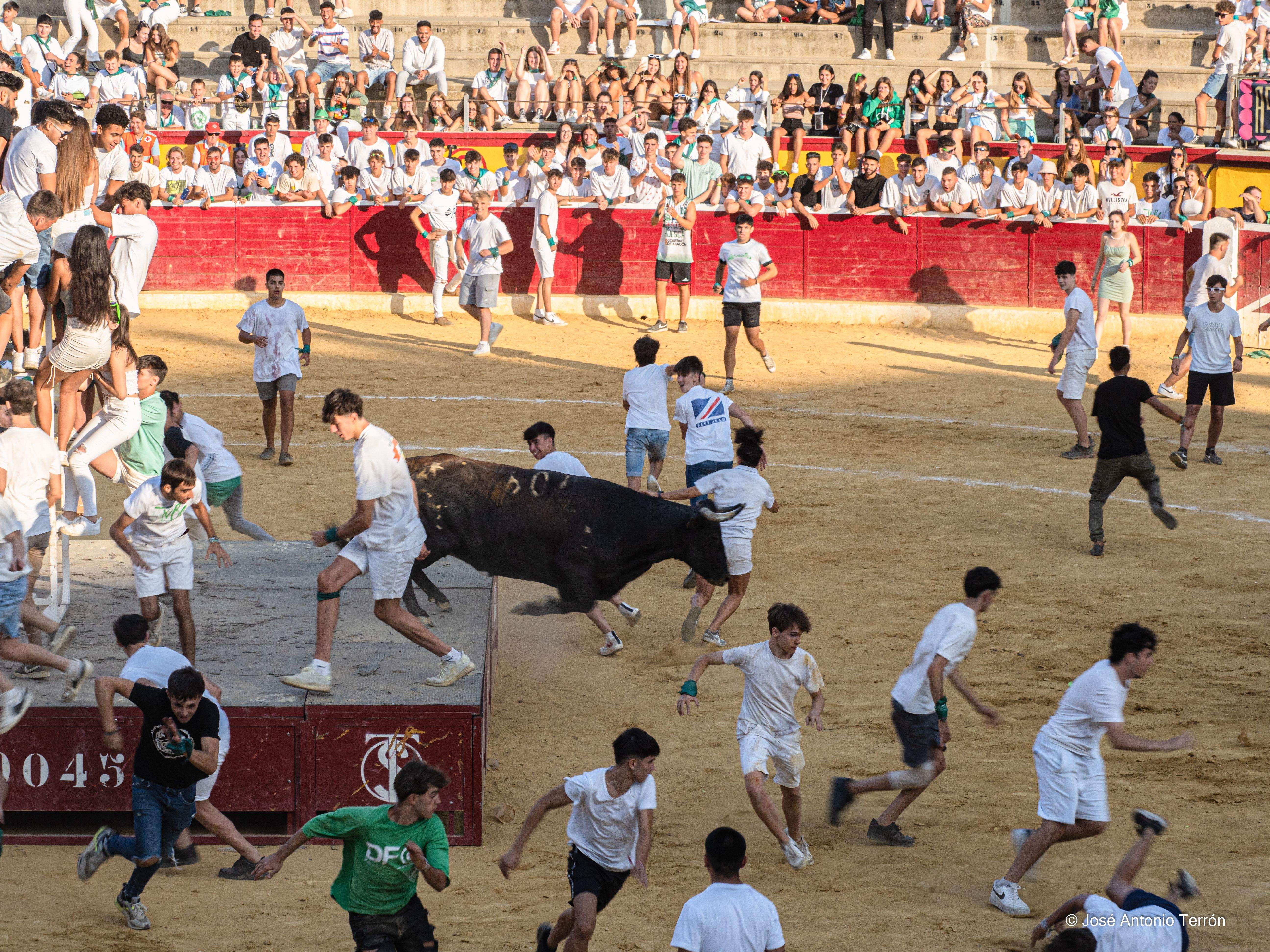 Vaquillas del día 11 de San Lorenzo. Foto José Antonio Terrón 