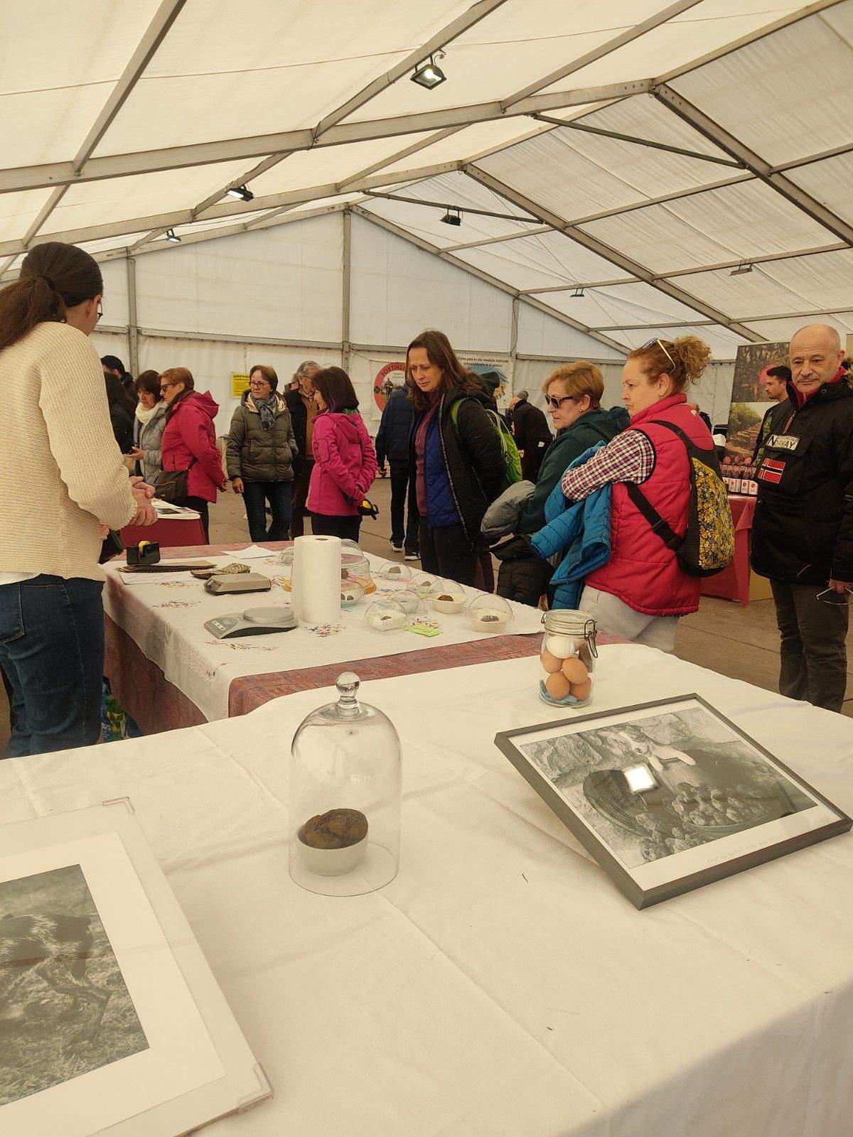 Público en los expositores de las Jornadas de la Trufa