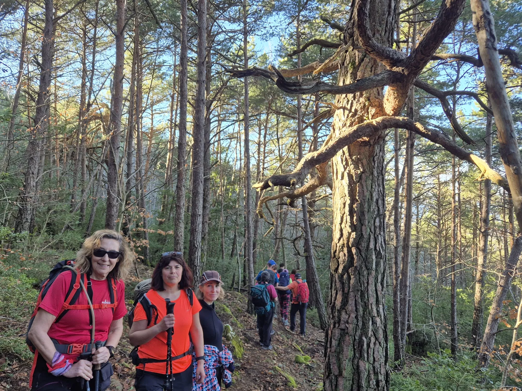 Prueba 2026 para la Javierada de los Amantes de la Naturaleza. Foto Juanlu Herrero