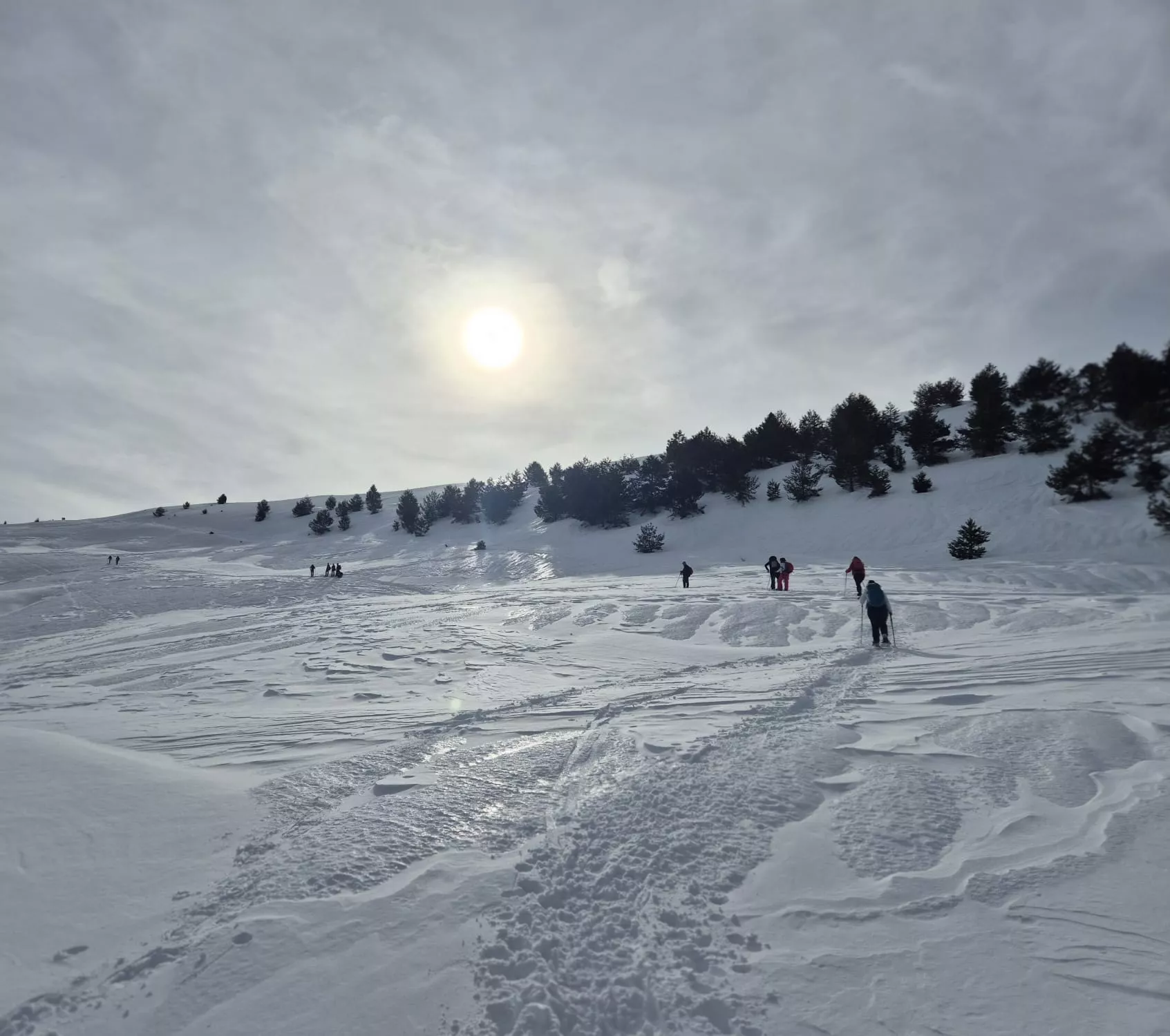 Jornada de raquetas del Grupo de Alto Nivel del Club de Montaña Javieres. Foto Juanlu Herrero