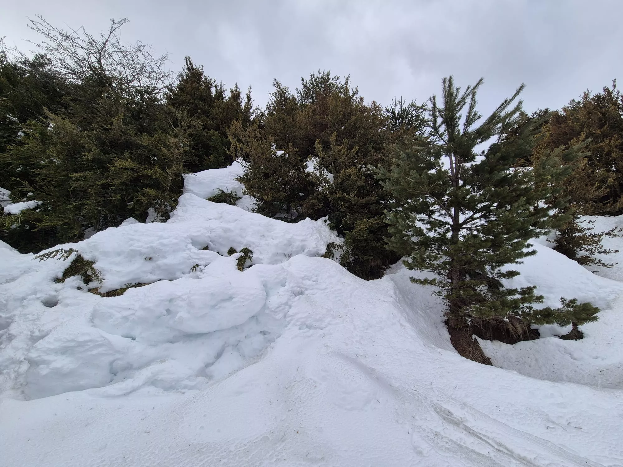 Jornada de raquetas del Grupo de Alto Nivel del Club de Montaña Javieres. Foto Juanlu Herrero