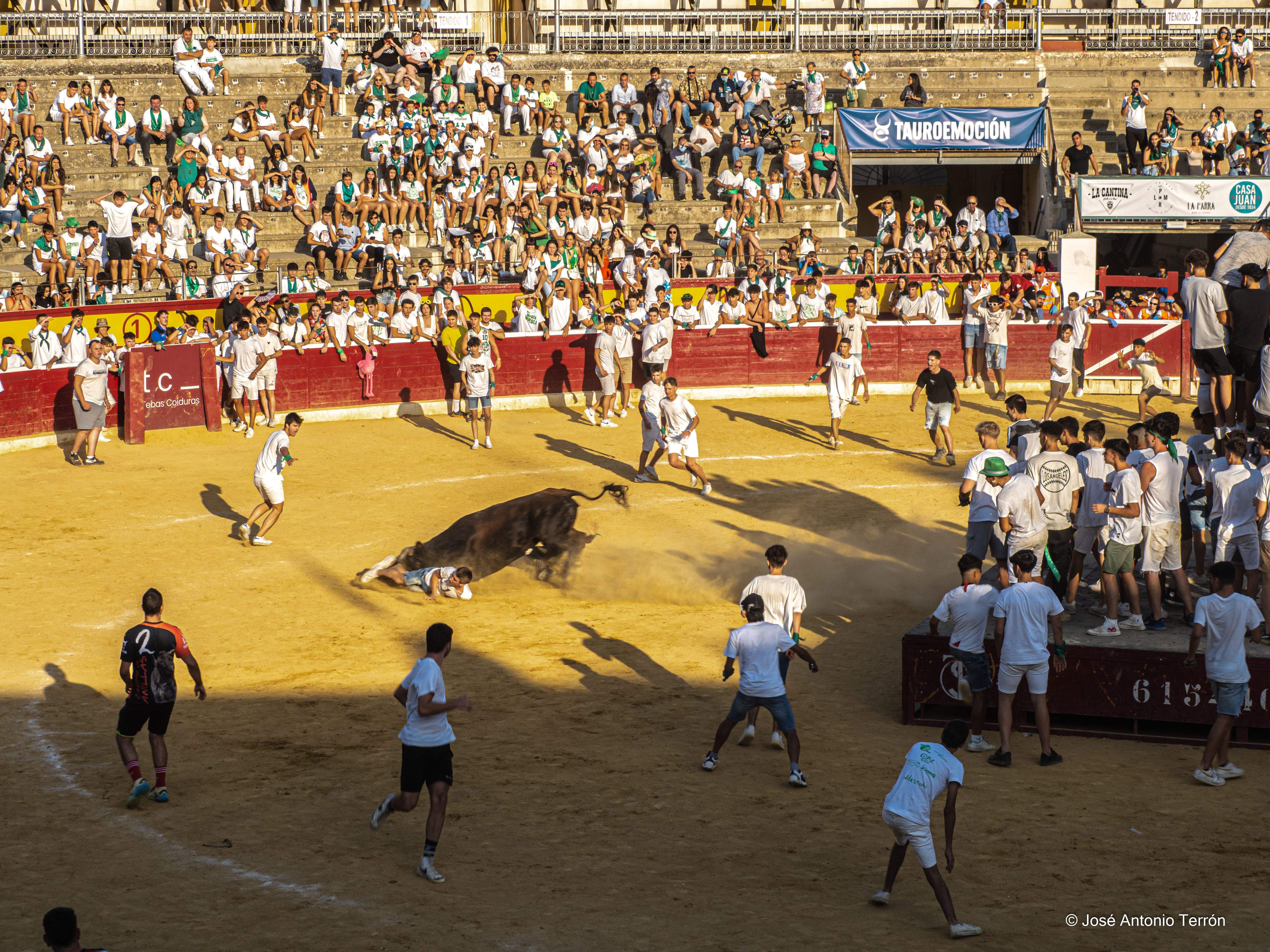 Vaquillas del día 11 de San Lorenzo. Foto José Antonio Terrón 