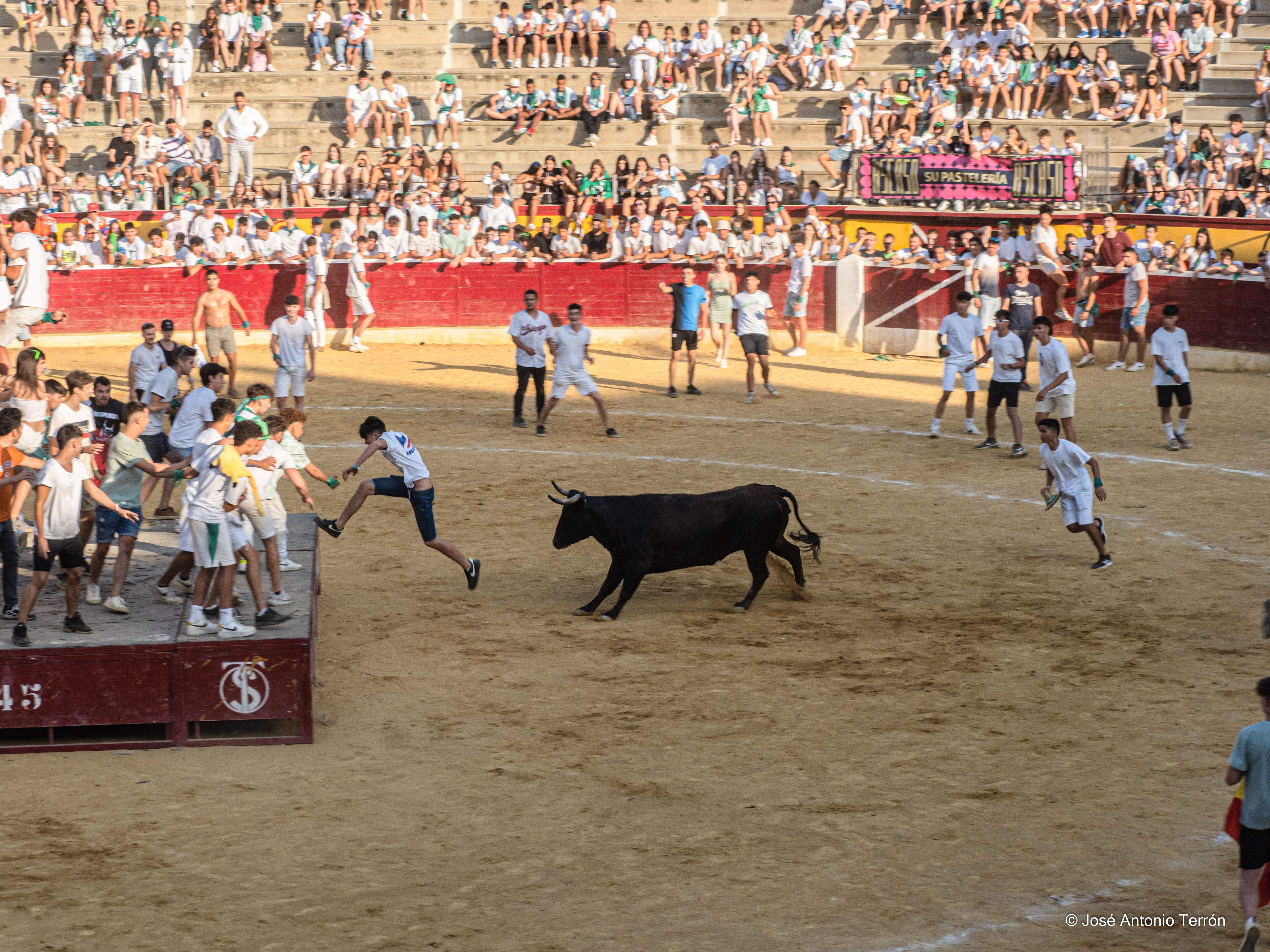 Vaquillas del día 11 de San Lorenzo. Foto José Antonio Terrón 