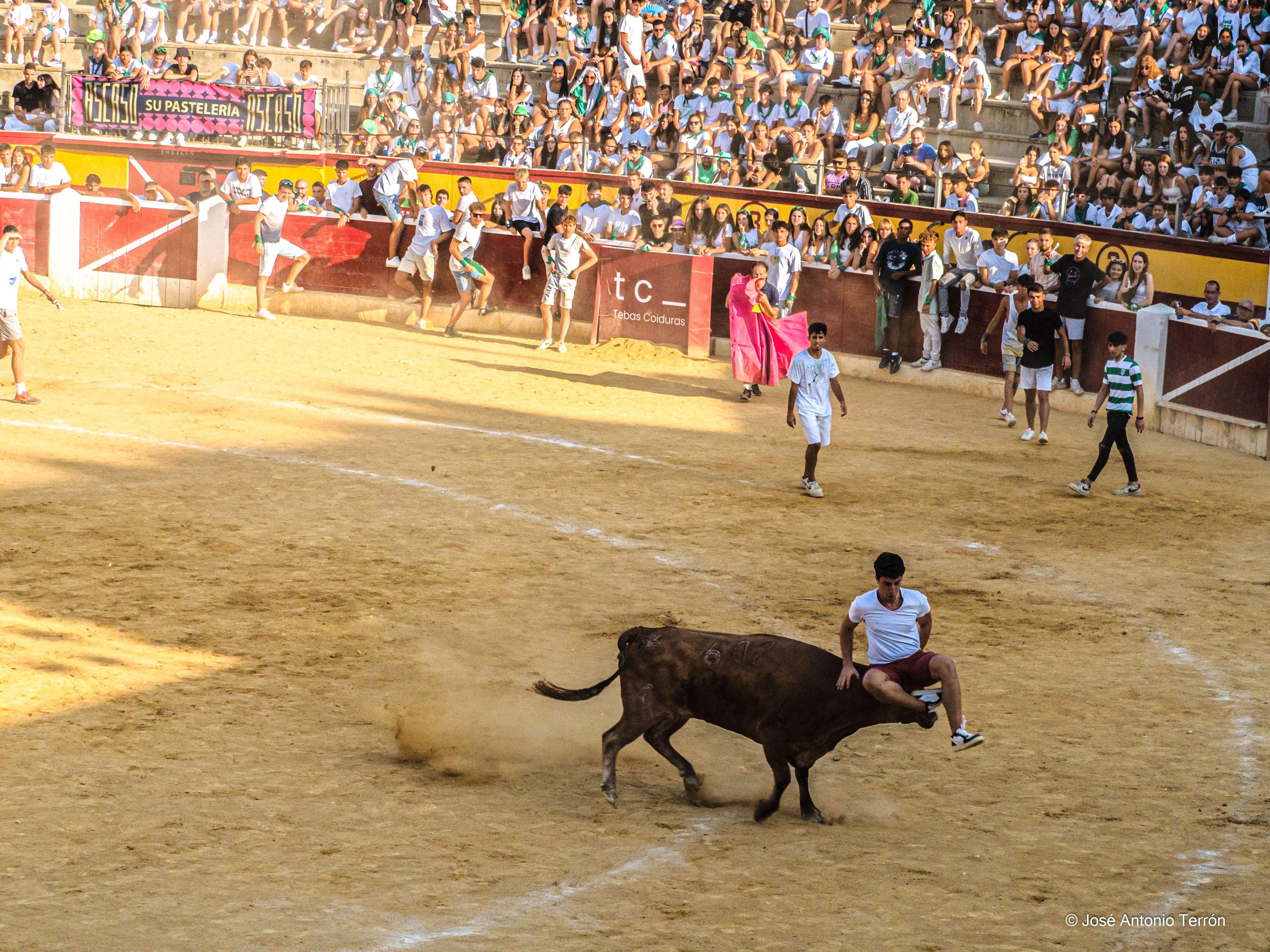 Vaquillas del día 11 de San Lorenzo. Foto José Antonio Terrón 