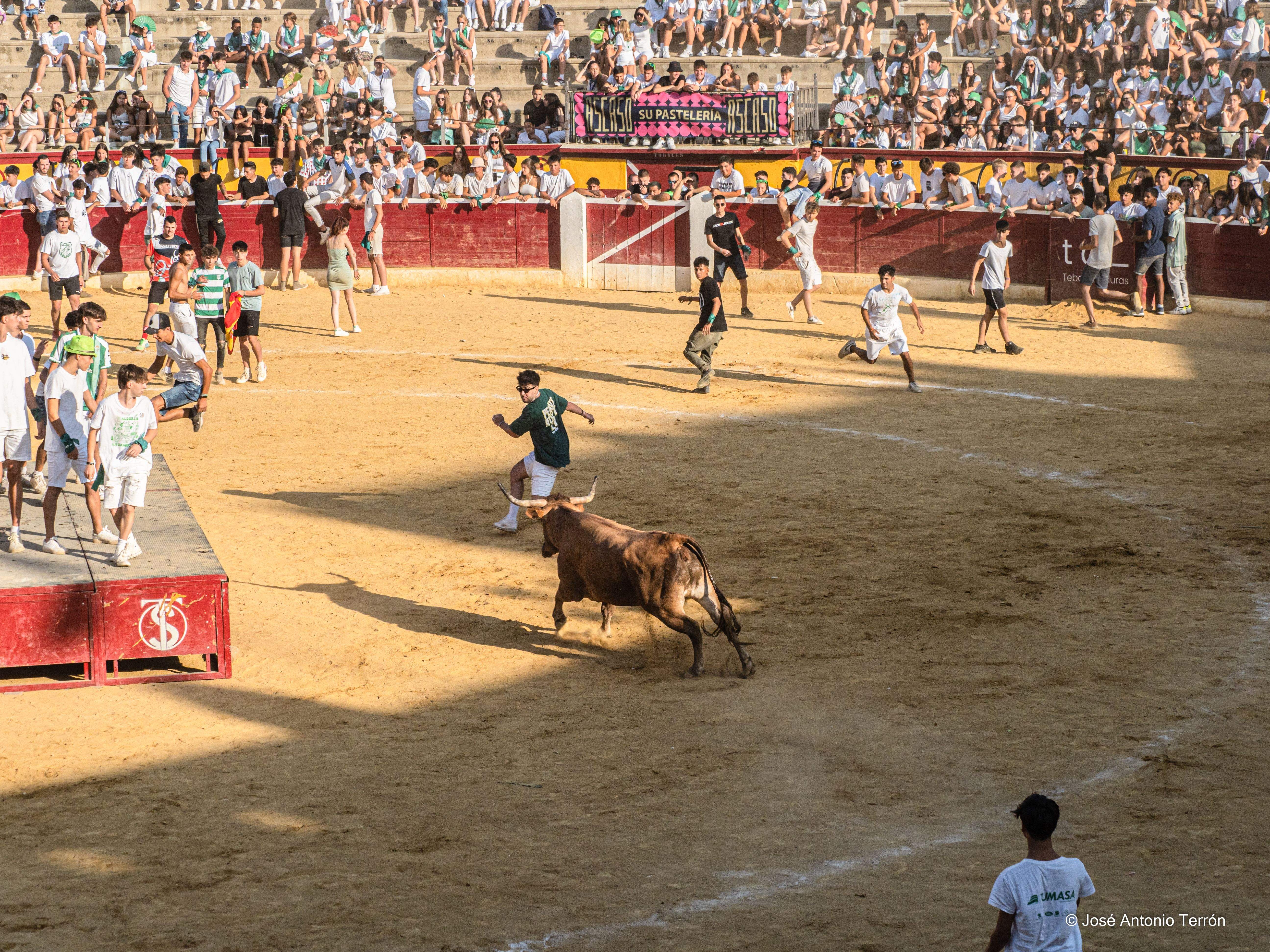 Vaquillas del día 11 de San Lorenzo. Foto José Antonio Terrón 