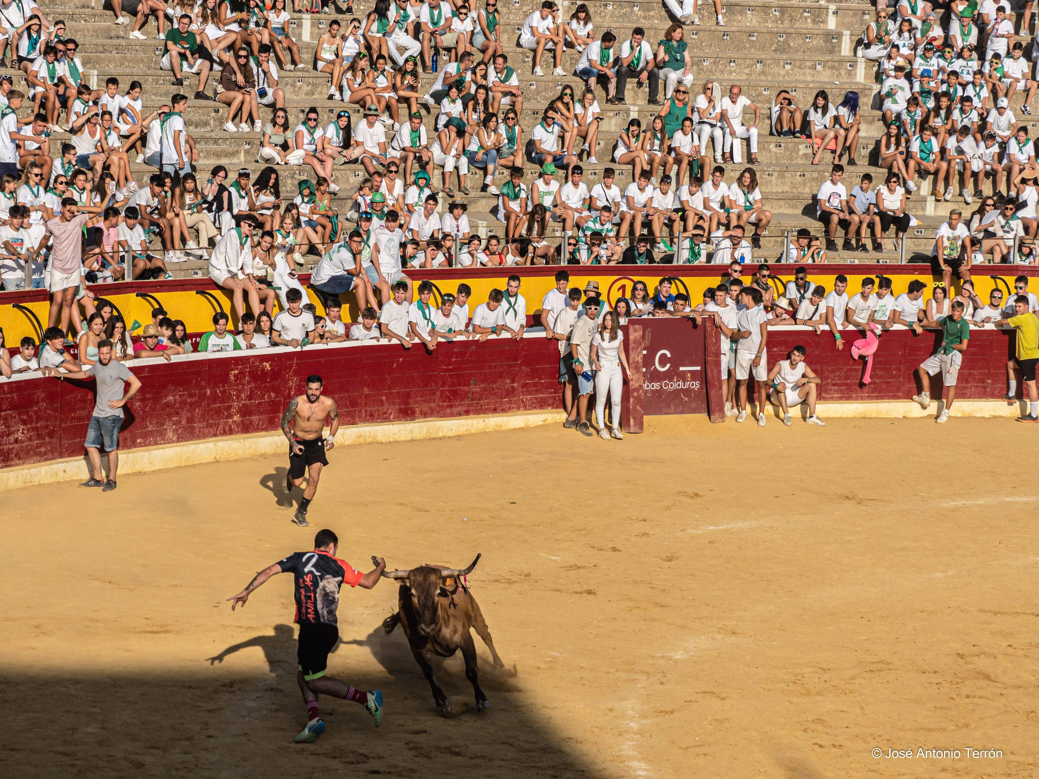Vaquillas del día 11 de San Lorenzo. Foto José Antonio Terrón 