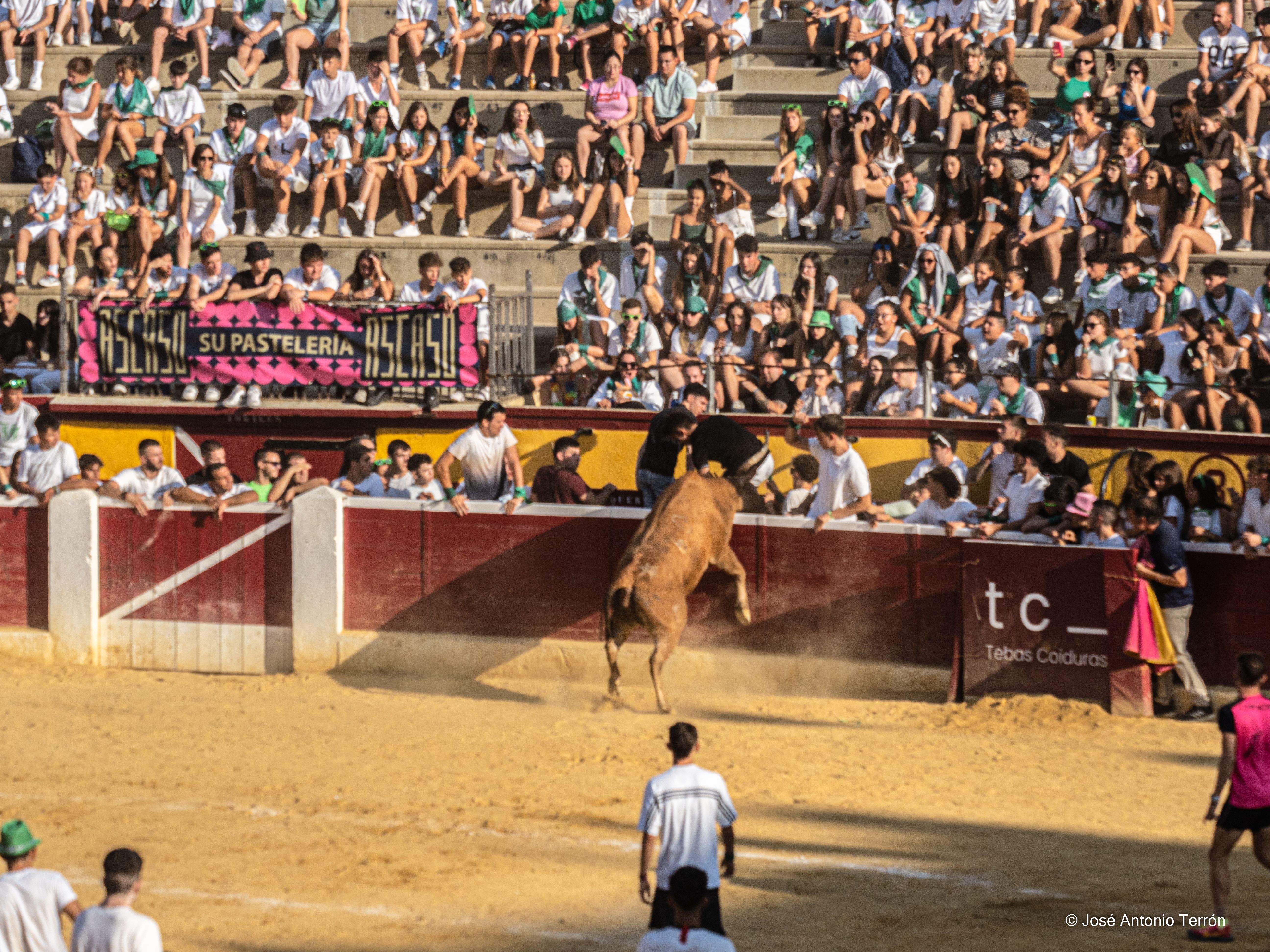 Vaquillas del día 11 de San Lorenzo. Foto José Antonio Terrón 