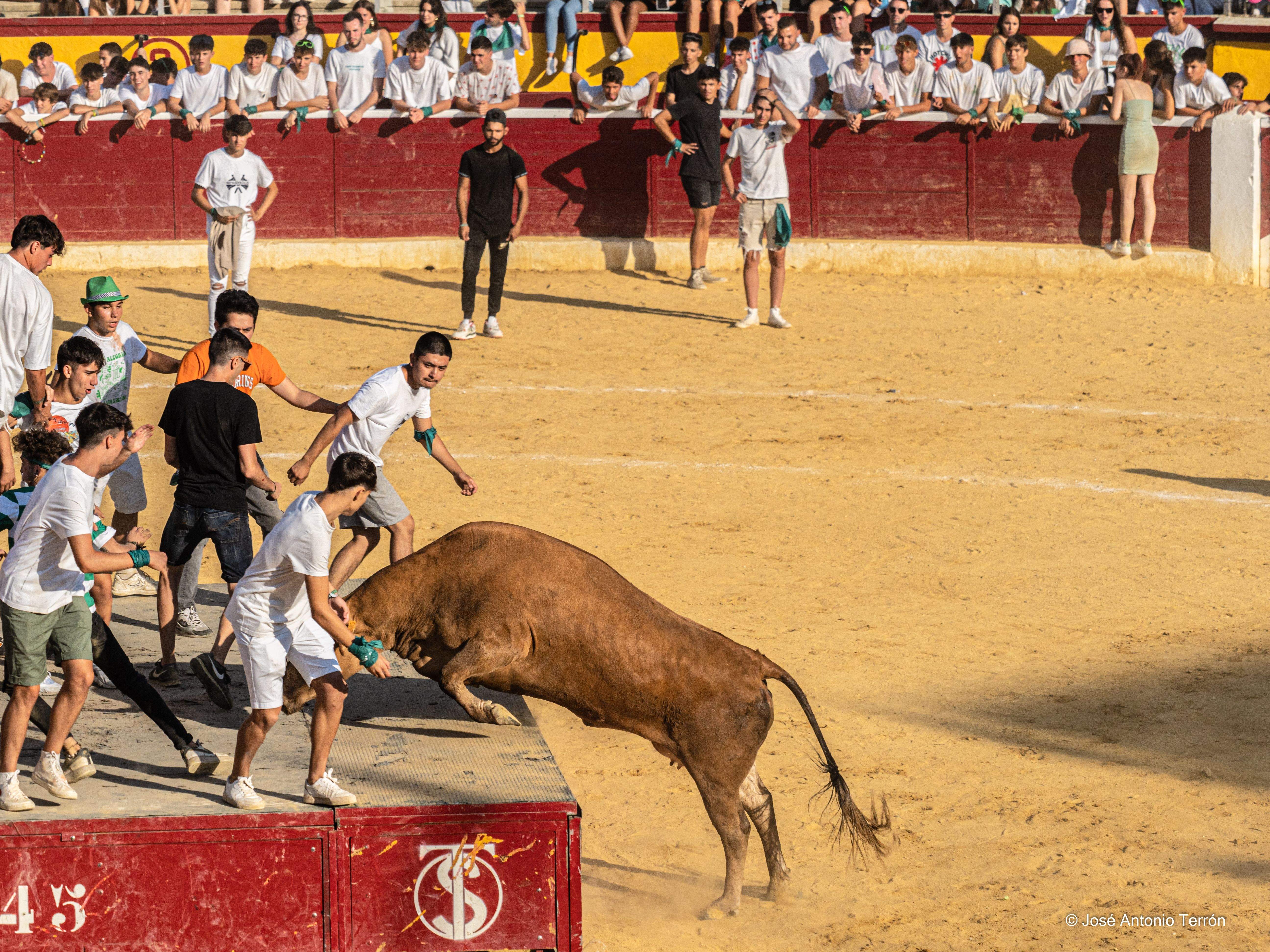 Vaquillas del día 11 de San Lorenzo. Foto José Antonio Terrón 