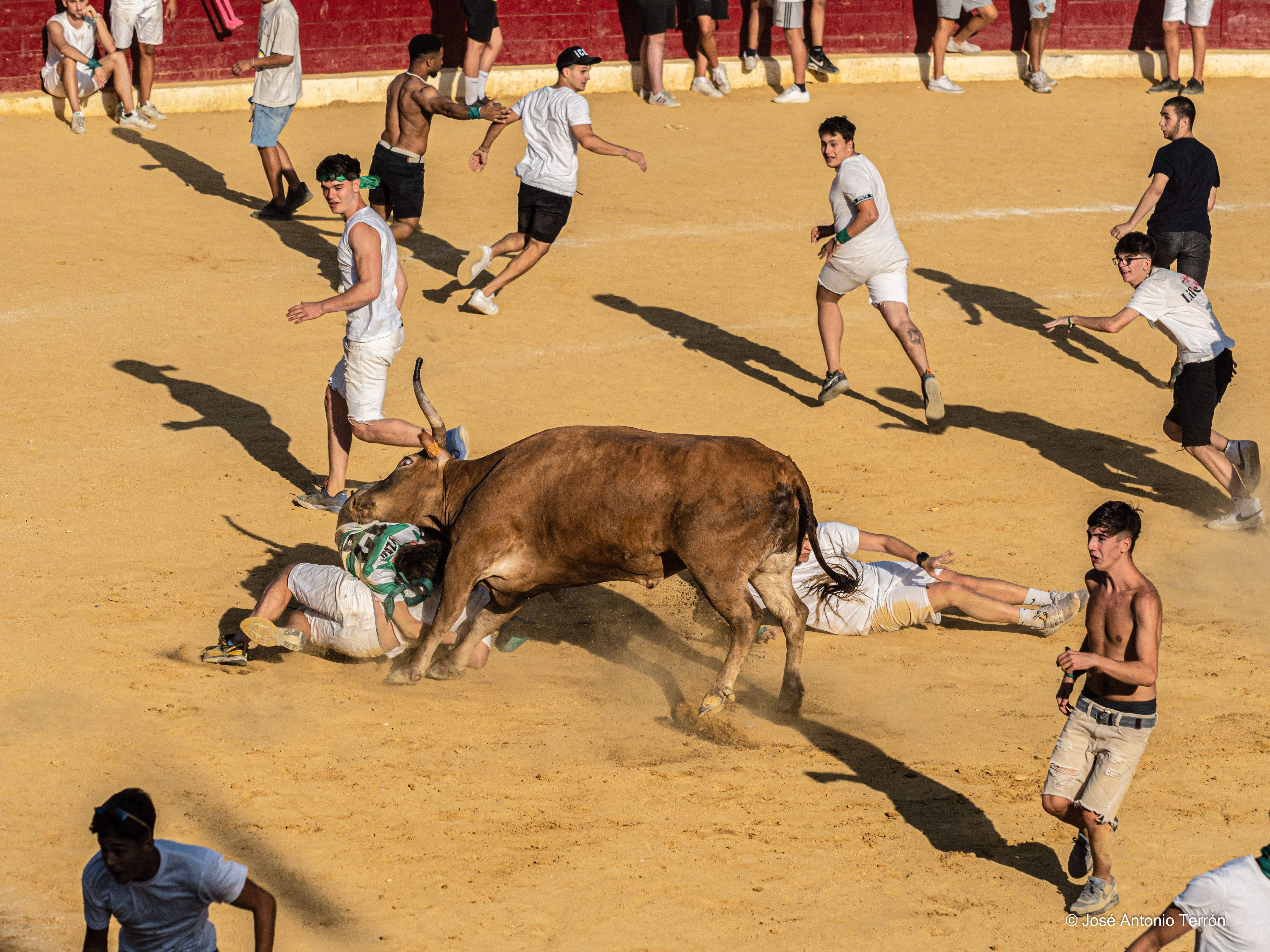 Vaquillas del día 11 de San Lorenzo. Foto José Antonio Terrón 
