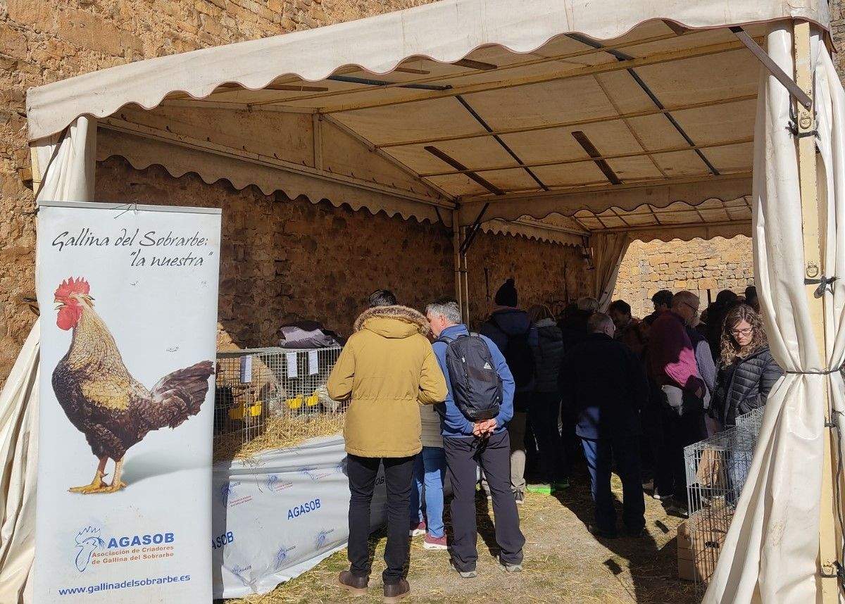 Ferieta de Aínsa 2023 este domingo