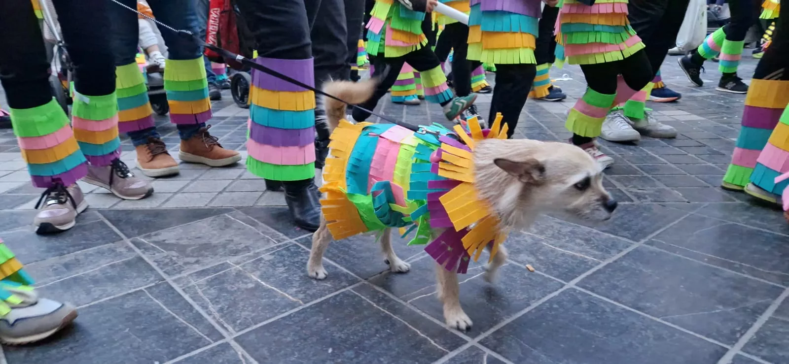 Carnaval en Huesca. Foto Myriam Martínez