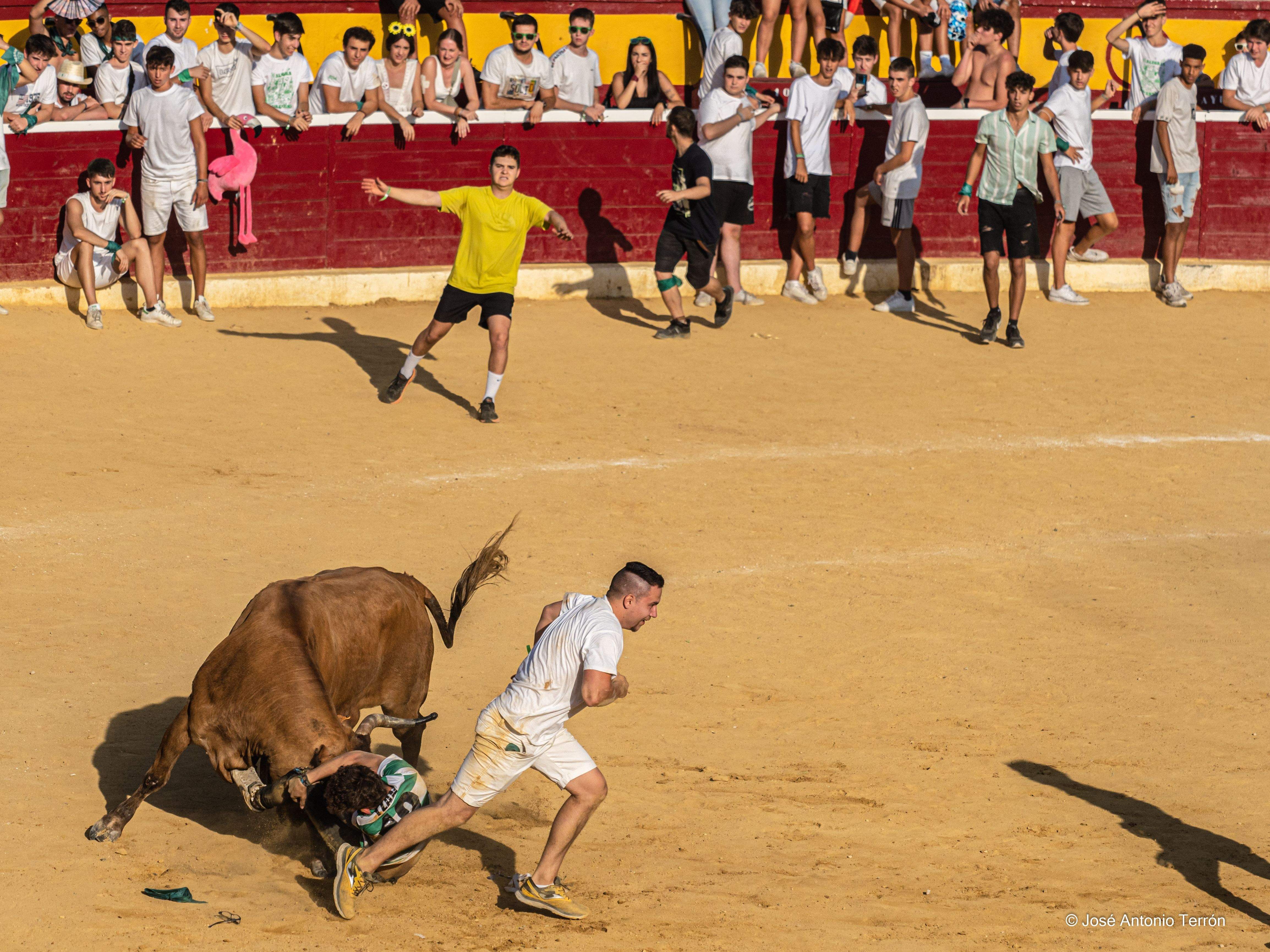 Vaquillas del día 11 de San Lorenzo. Foto José Antonio Terrón 