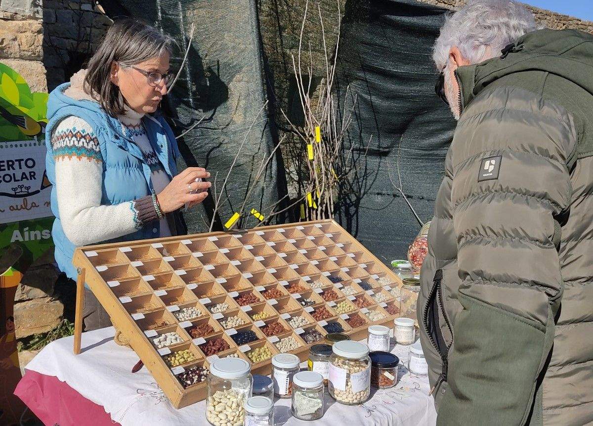 Semillas. Asociación Harto un Paso Atrás