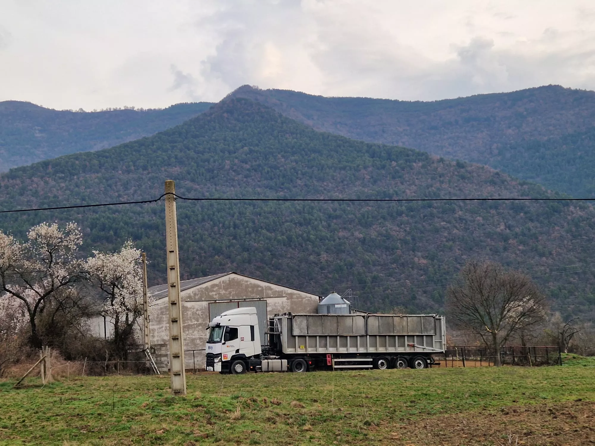 Explotación de Borrastre afectada por Dermatosis Nodular Contagiosa (DNC).