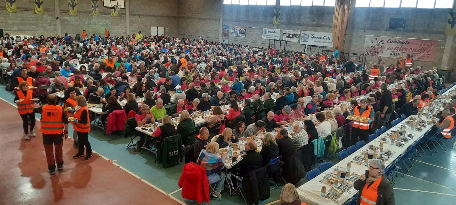 IX Caminata en la Flor del Almendro de Ayerbe del sábado. 