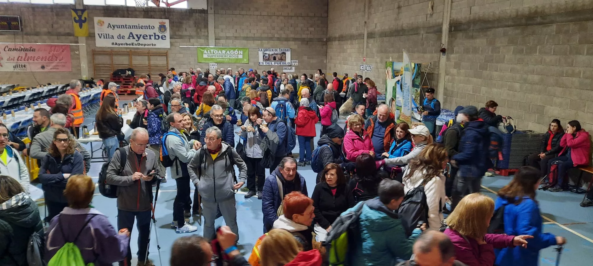 IX Caminata en la Flor del Almendro de Ayerbe del sábado. 
