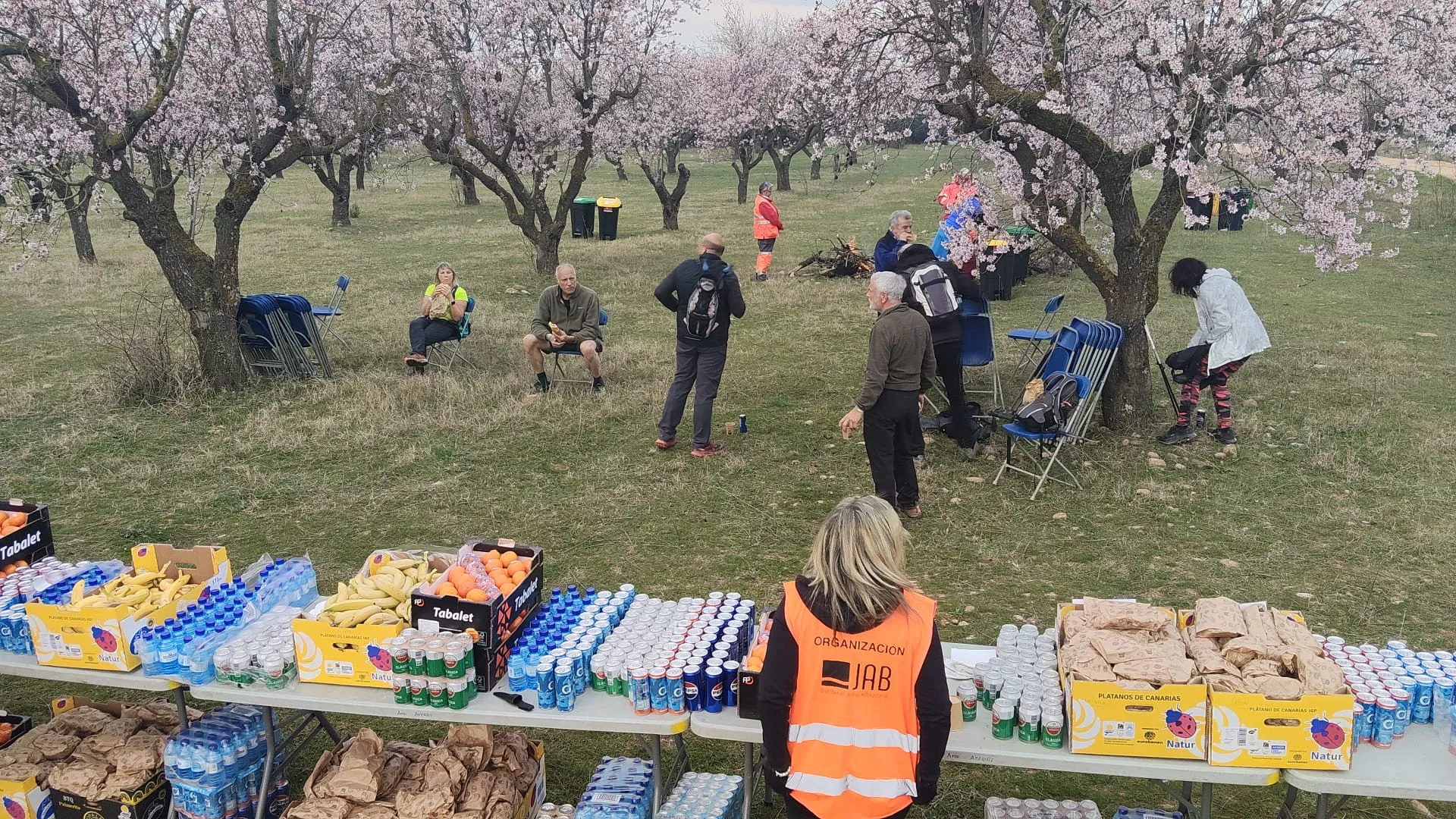 IX Caminata en la Flor del Almendro de Ayerbe del sábado. 