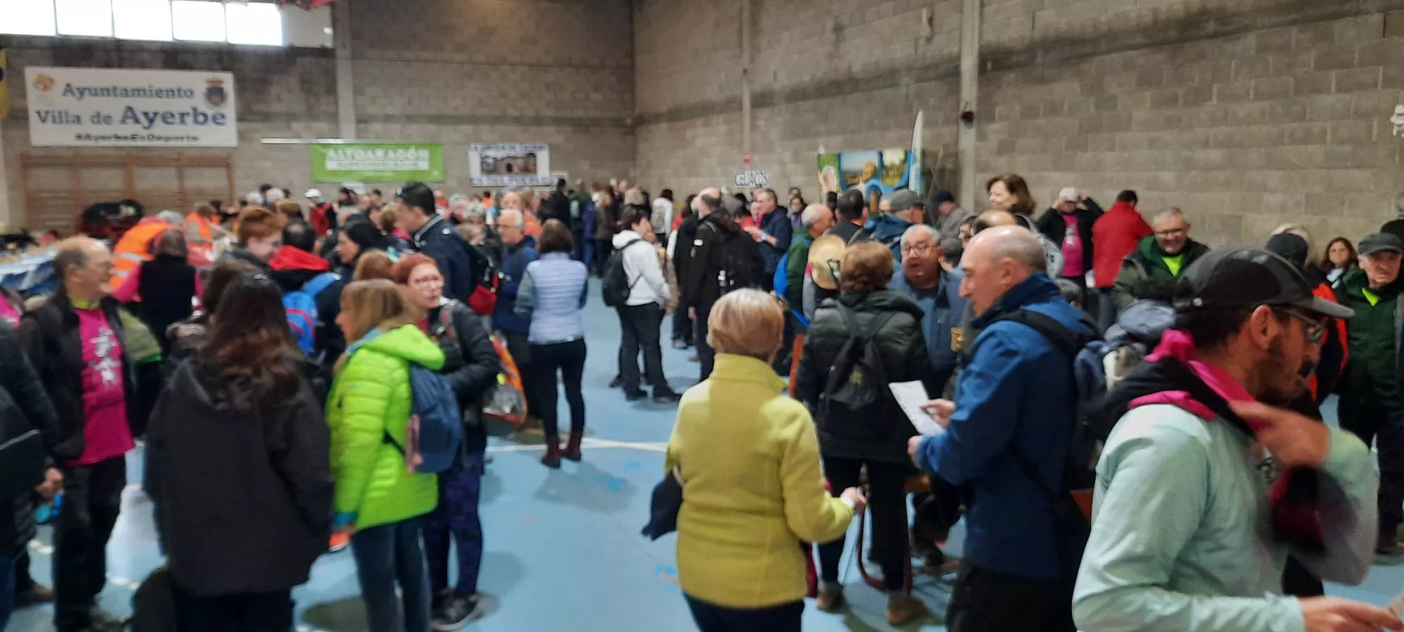 IX Caminata en la Flor del Almendro de Ayerbe del sábado. 