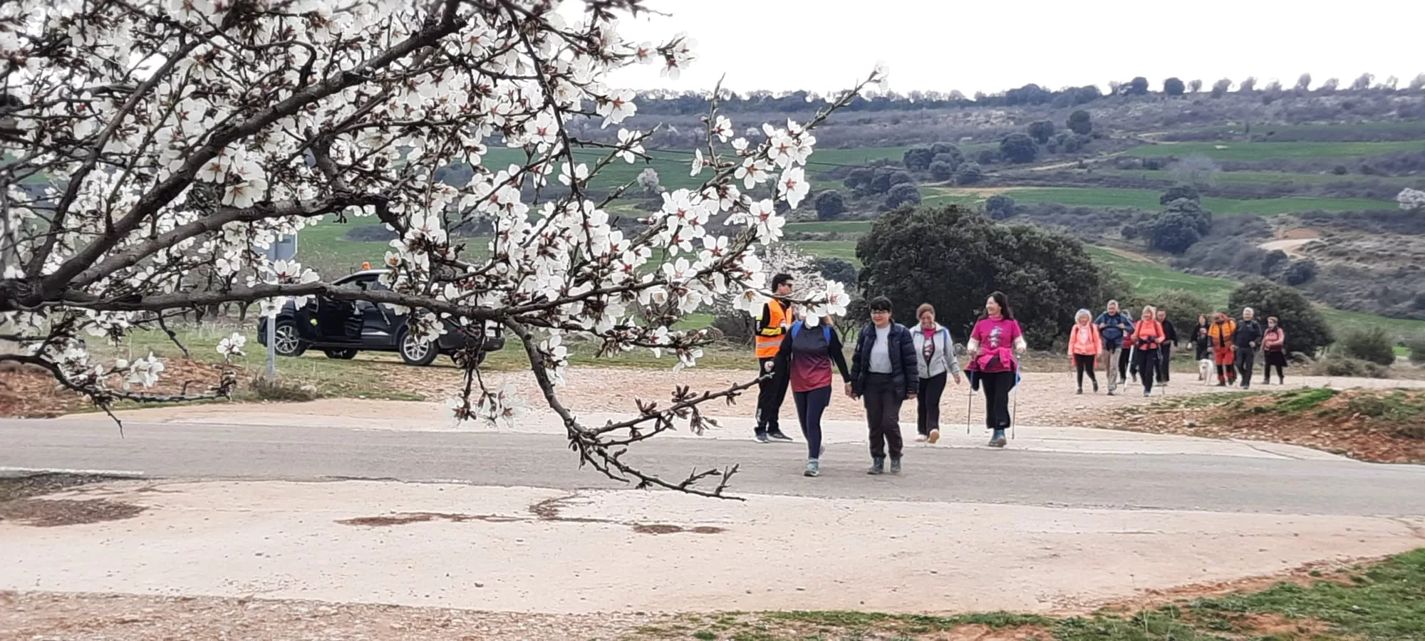 IX Caminata en la Flor del Almendro de Ayerbe del sábado. 