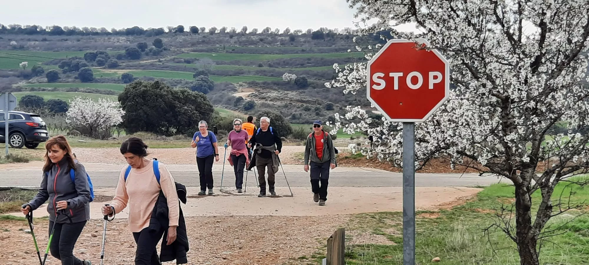 IX Caminata en la Flor del Almendro de Ayerbe del sábado. 