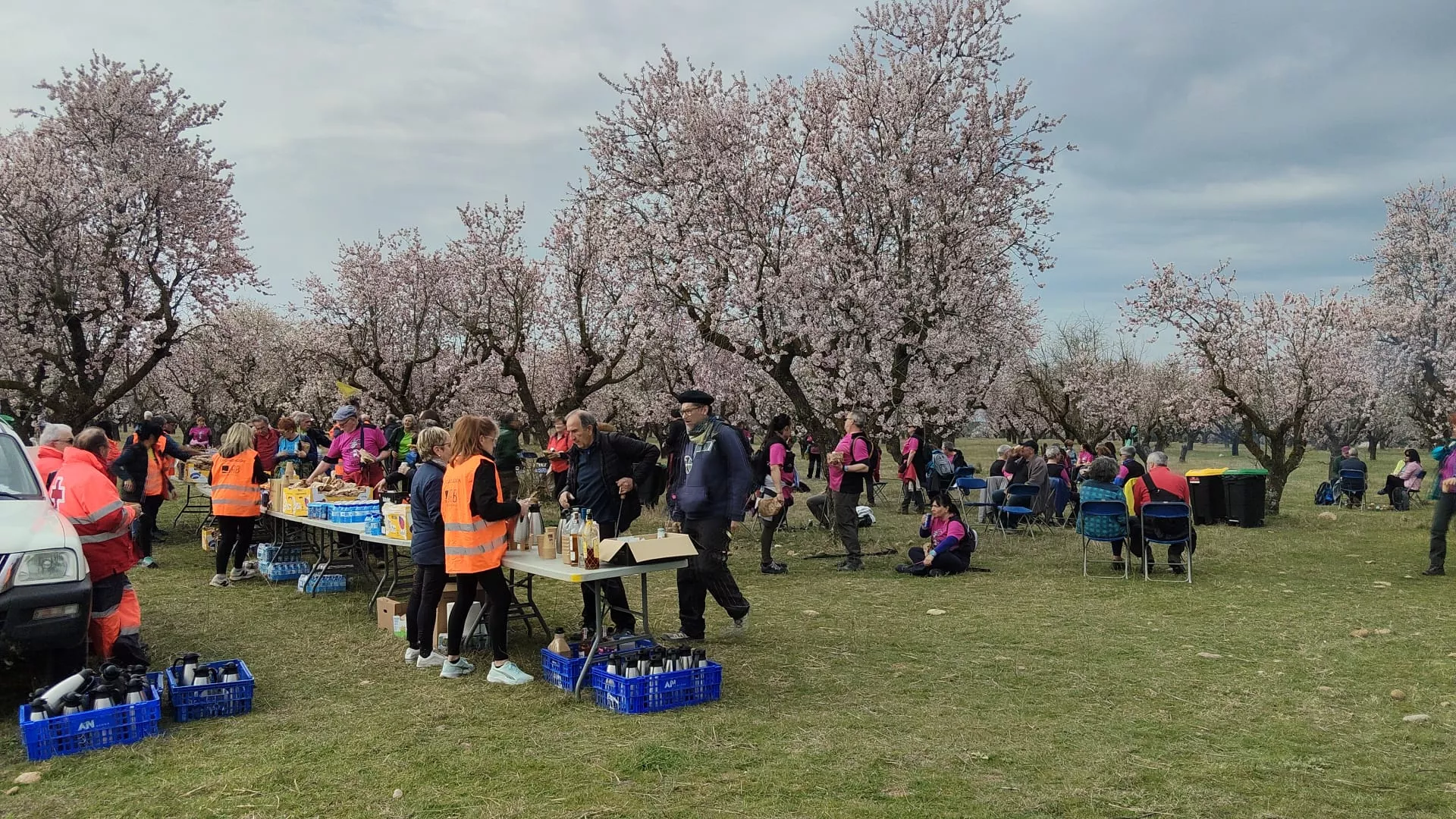 IX Caminata en la Flor del Almendro de Ayerbe del sábado. 