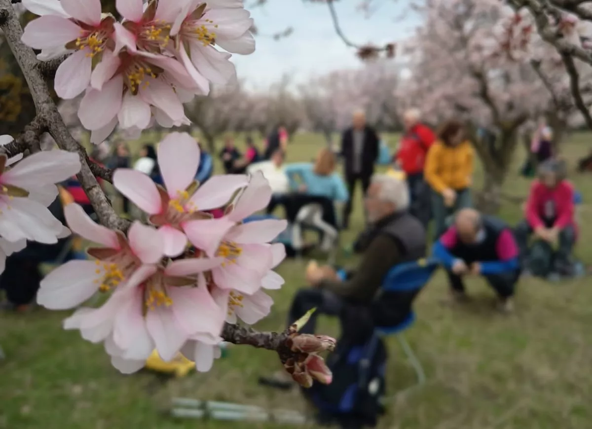 IX Caminata en la Flor del Almendro de Ayerbe del sábado. 