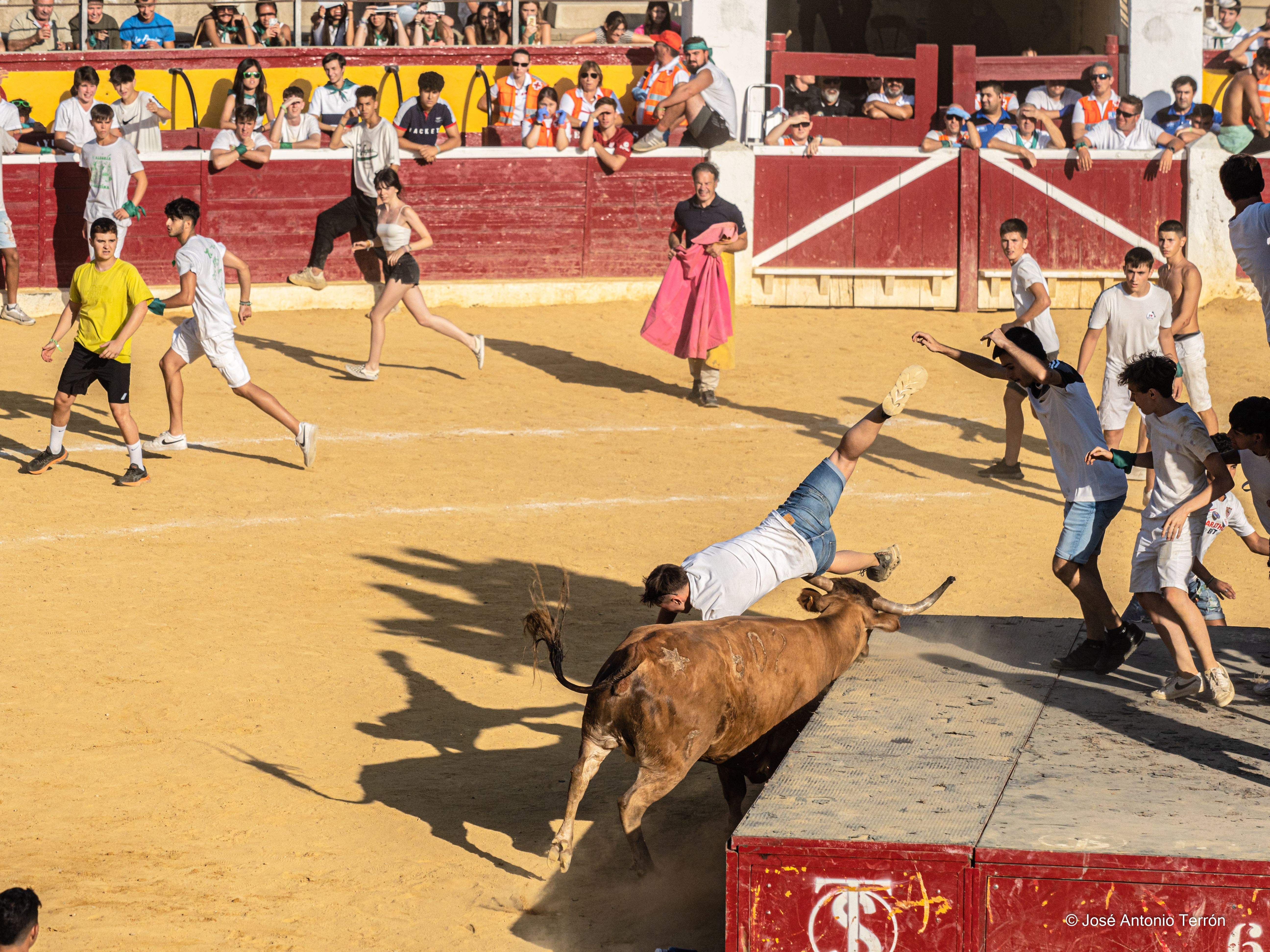 Vaquillas del día 11 de San Lorenzo. Foto José Antonio Terrón 