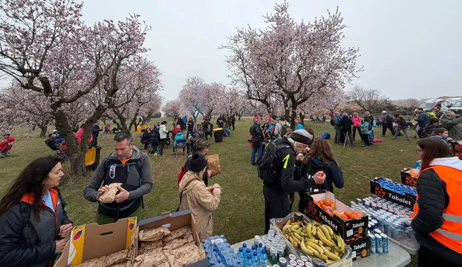 IX Caminata en la Flor del Almendro de Ayerbe
