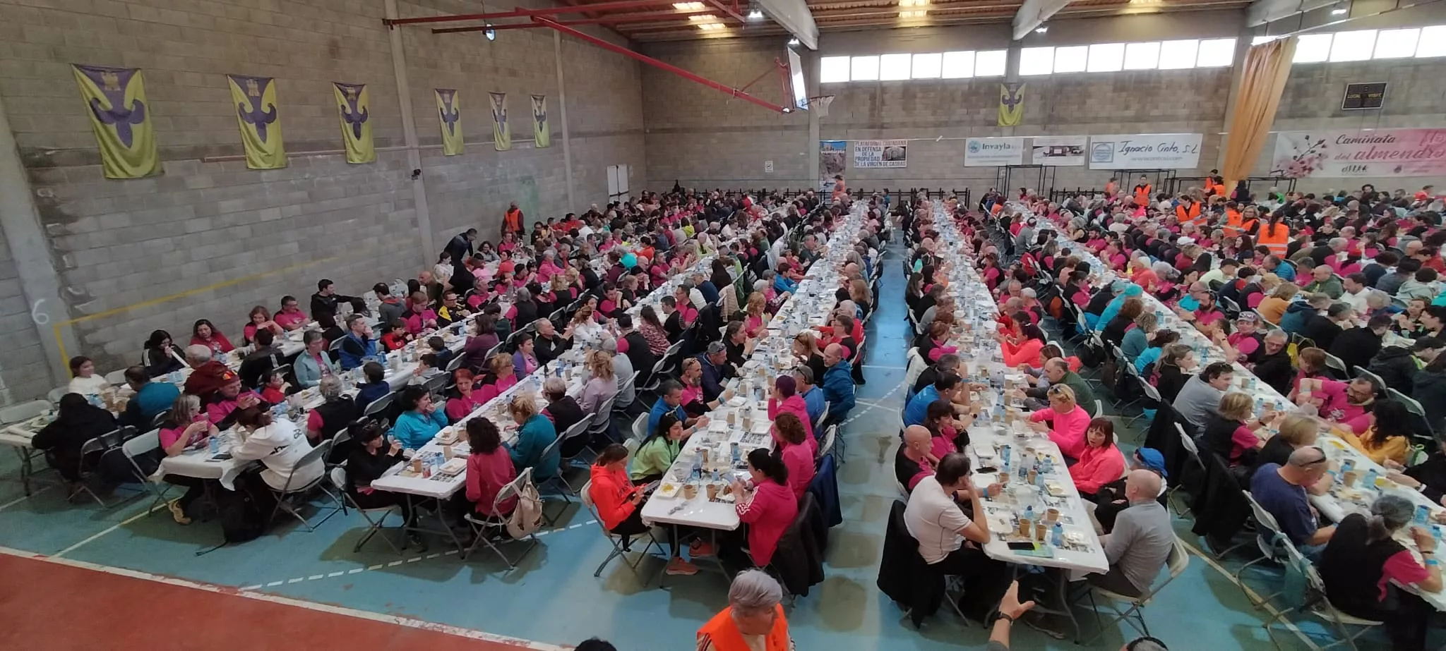 IX Caminata en la Flor del Almendro de Ayerbe