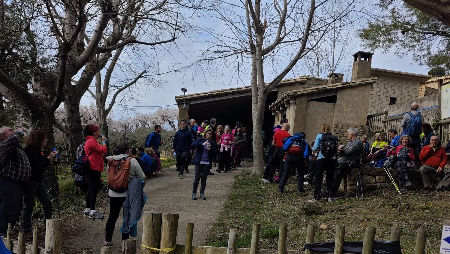 IX Caminata en la Flor del Almendro de Ayerbe
