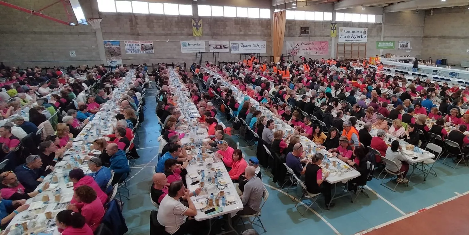 IX Caminata en la Flor del Almendro de Ayerbe