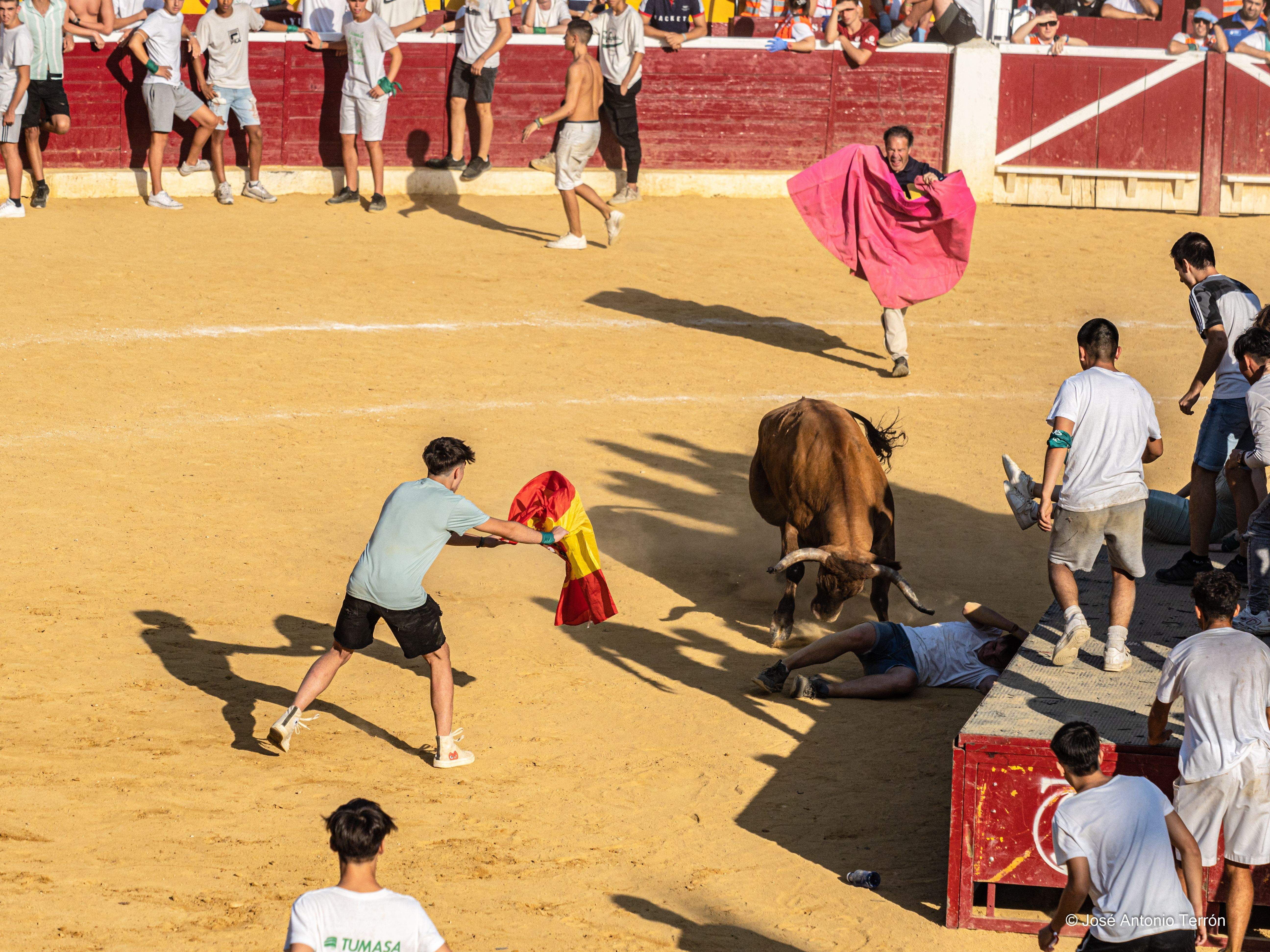 Vaquillas del día 11 de San Lorenzo. Foto José Antonio Terrón 