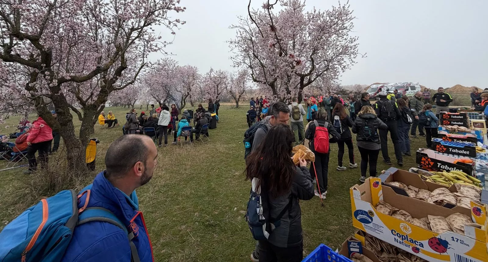 IX Caminata en la Flor del Almendro de Ayerbe