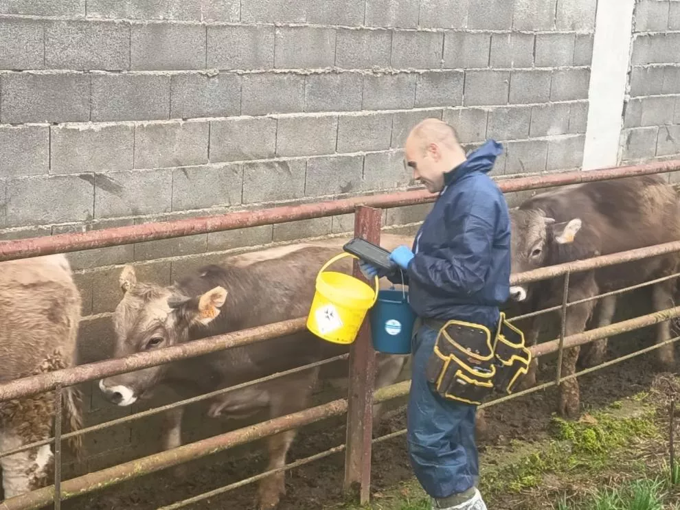 Más de 18.600 animales han sido vacunados frente a la DNC en la zona de la OCA de Boltaña