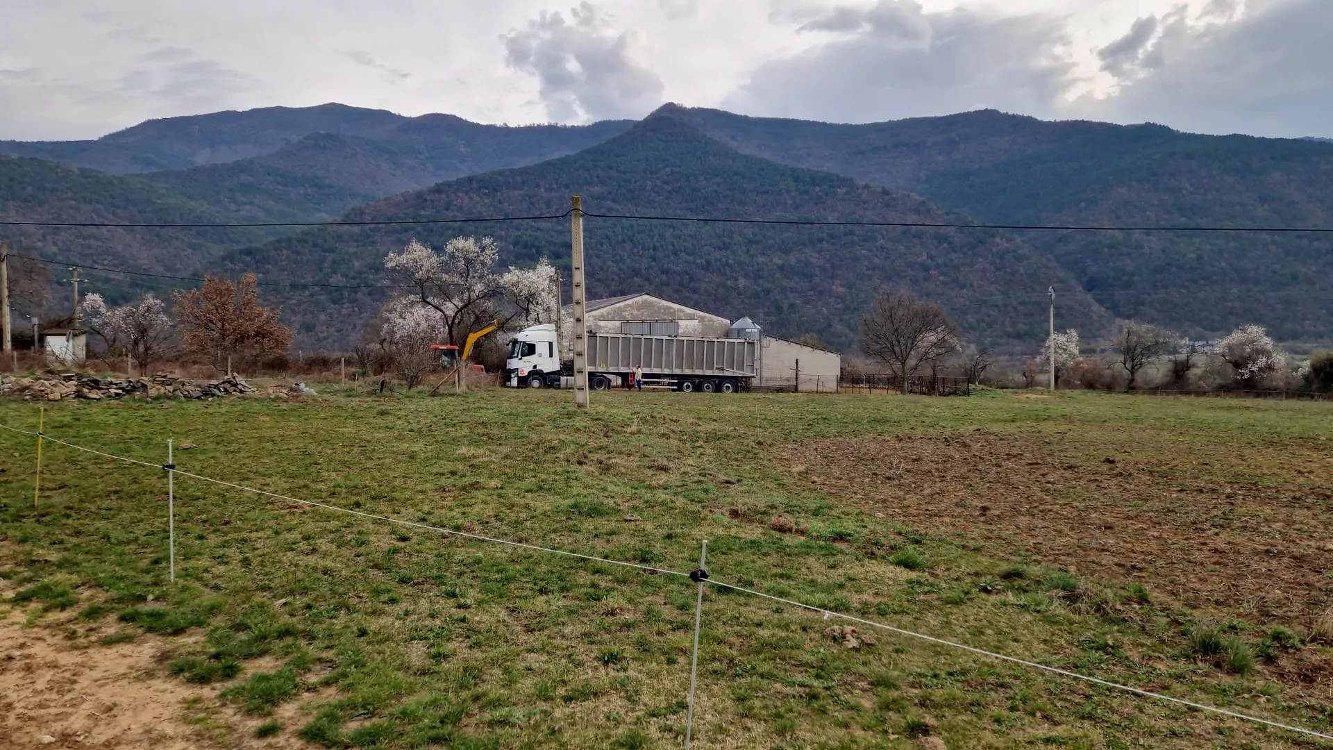 Finca de Borrastre. El PSOE pide a la DPH ayudas para los ganaderos afectados por la Dermatosis Nodular.