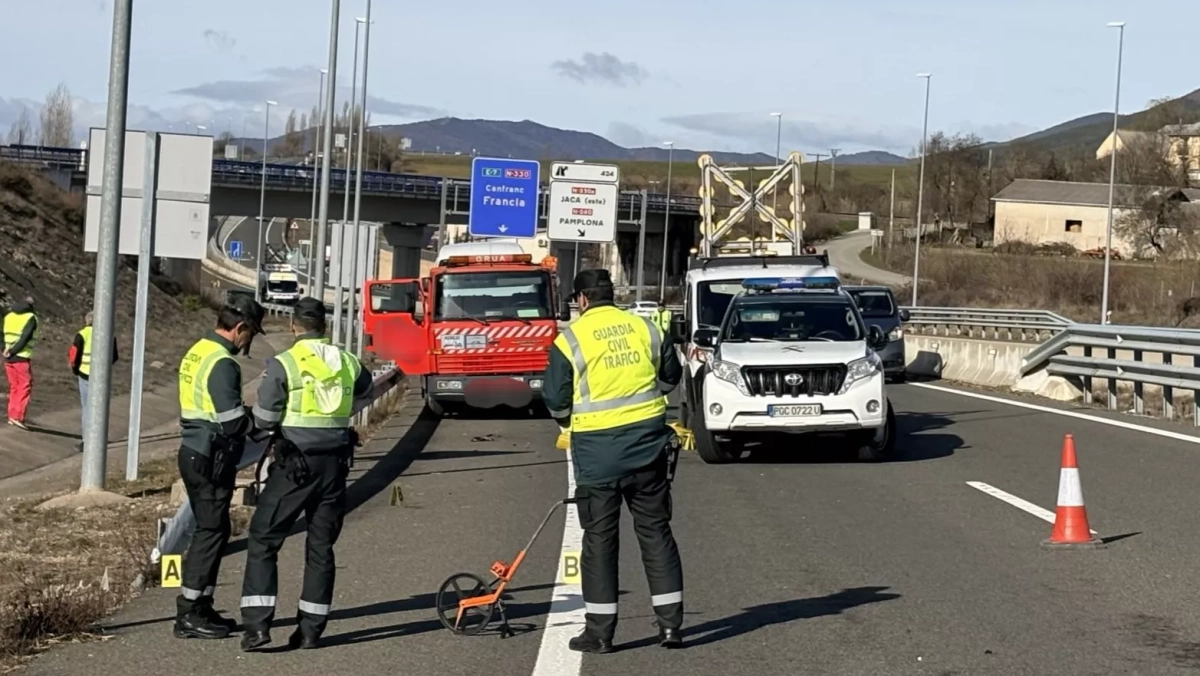 Investigado por homicidio imprudente el conductor del atropello en la A ...