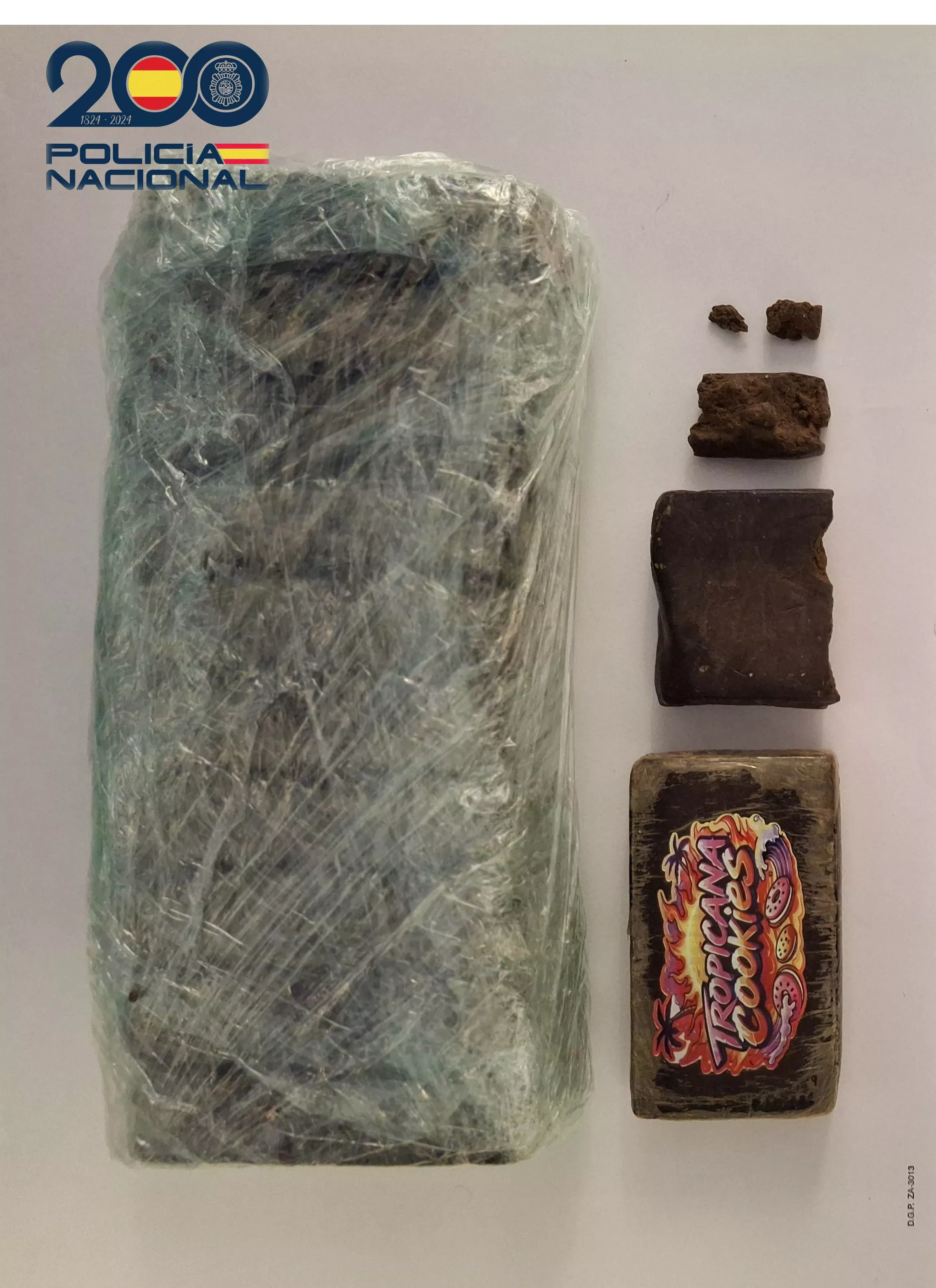 El hachís incautado por la Policía Nacional de Jaca.