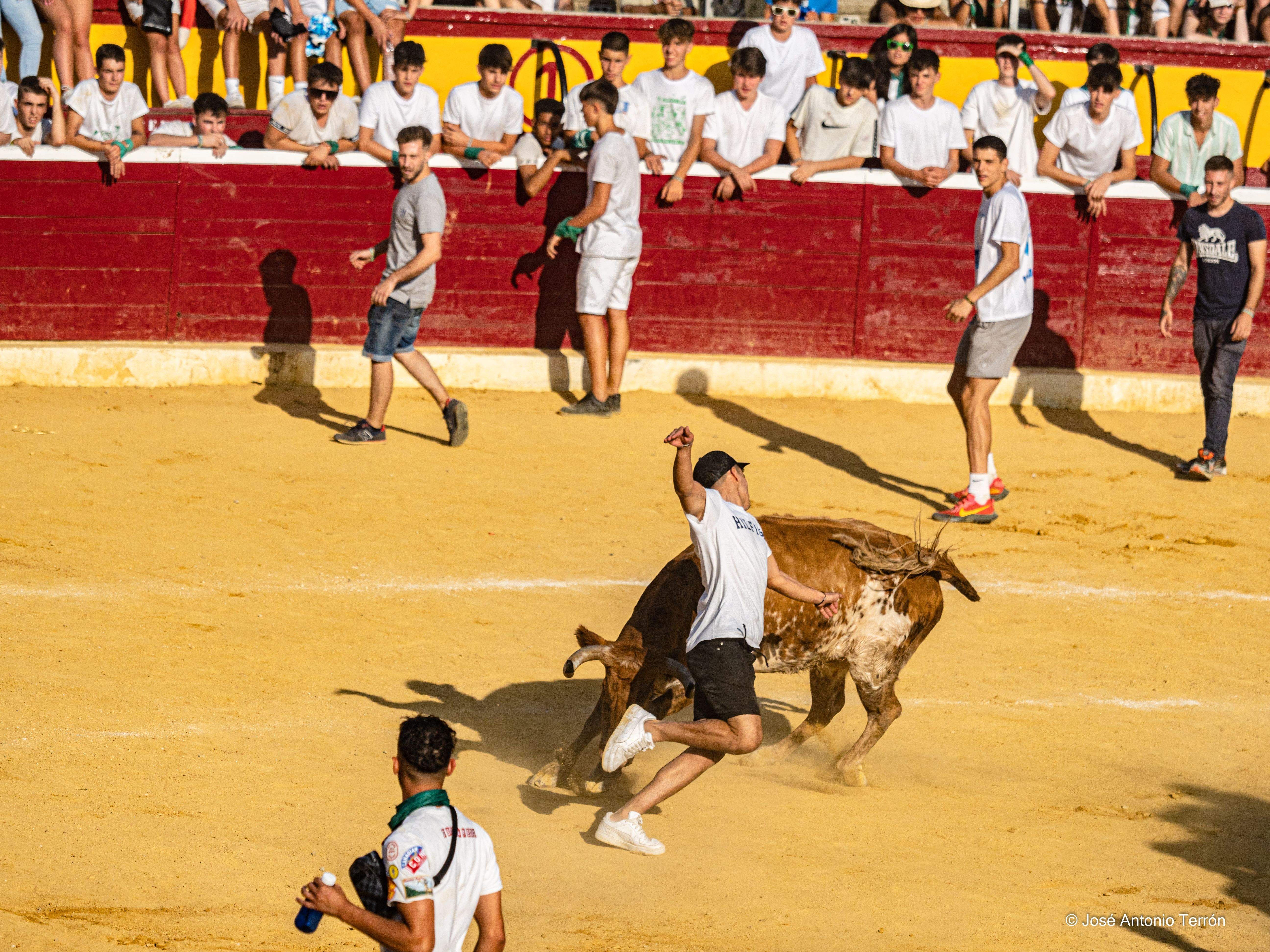 Vaquillas del día 11 de San Lorenzo. Foto José Antonio Terrón 