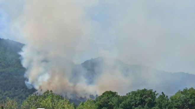 Incendio en una zona boscosa en el municipio de Bonansa.
