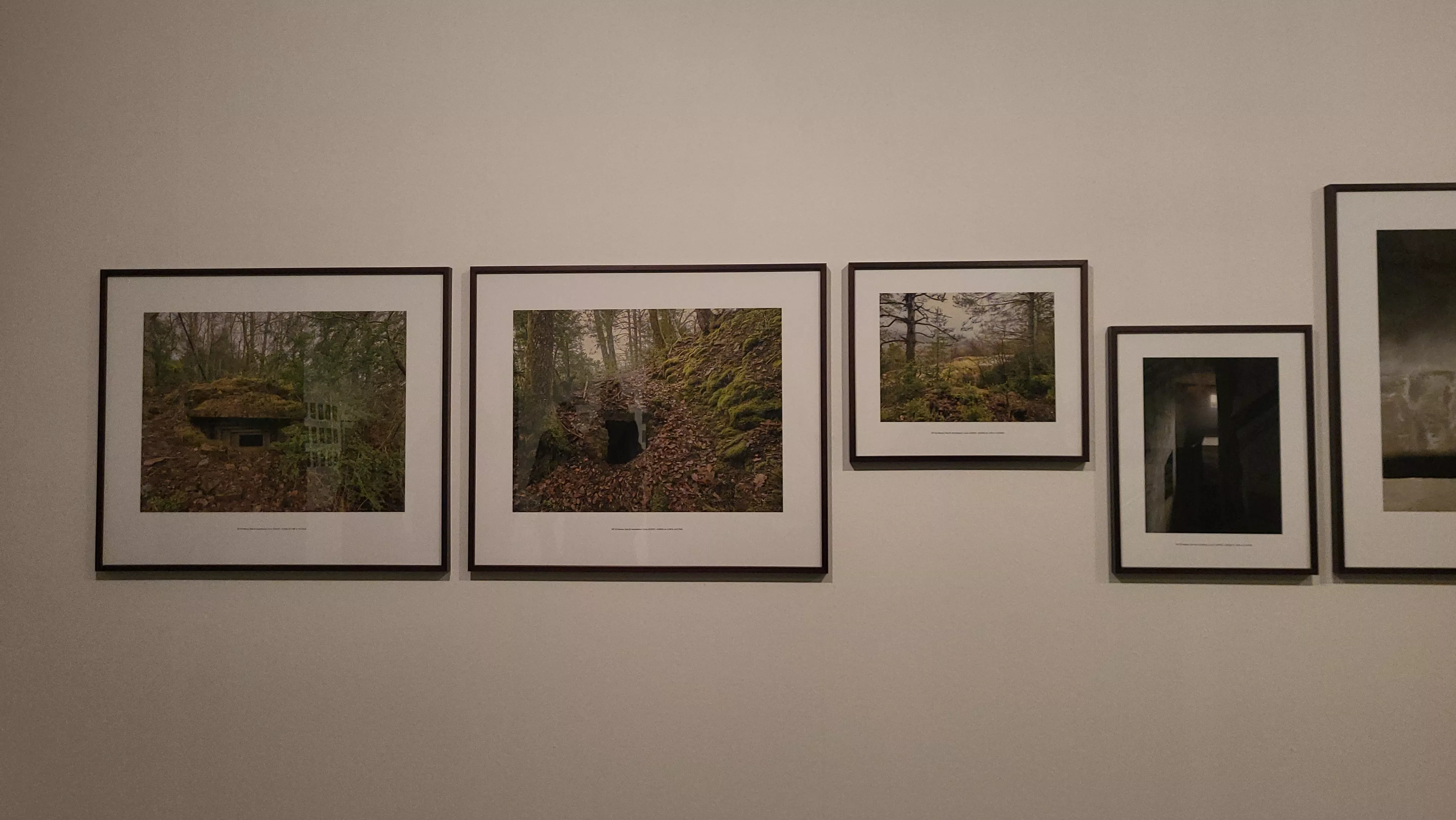 Exposición "Línea P. Los búnkeres del Pirineo" en la DPH. Foto Mercedes Manterola