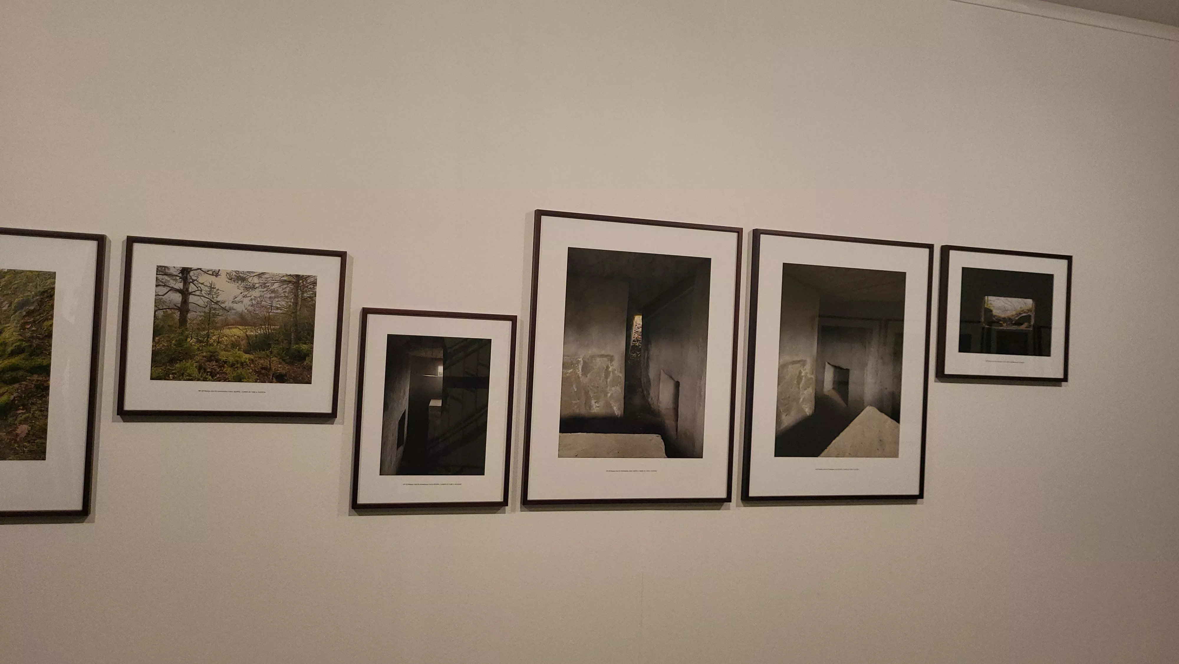 Exposición "Línea P. Los búnkeres del Pirineo" en la DPH. Foto Mercedes Manterola