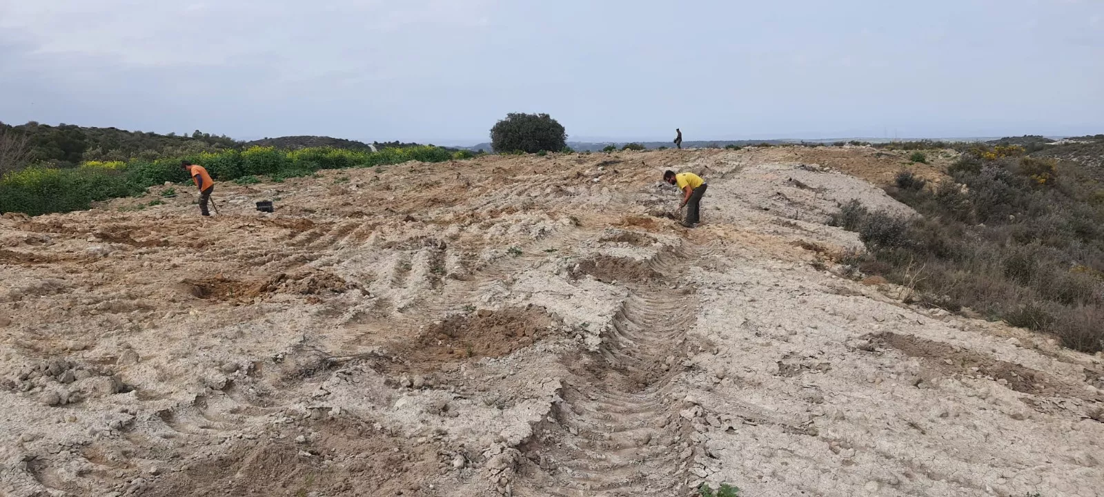 San Esteban de Litera recupera su antiguo basurero con una reforestación.