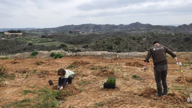 Plantación de árboles en el antiguo vertedero de San Esteban de Litera. Plantación de árboles en el antiguo vertedero de San Esteban de Litera.