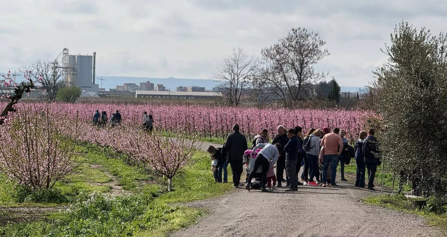 IX Ruta de la Floración de Fraga.