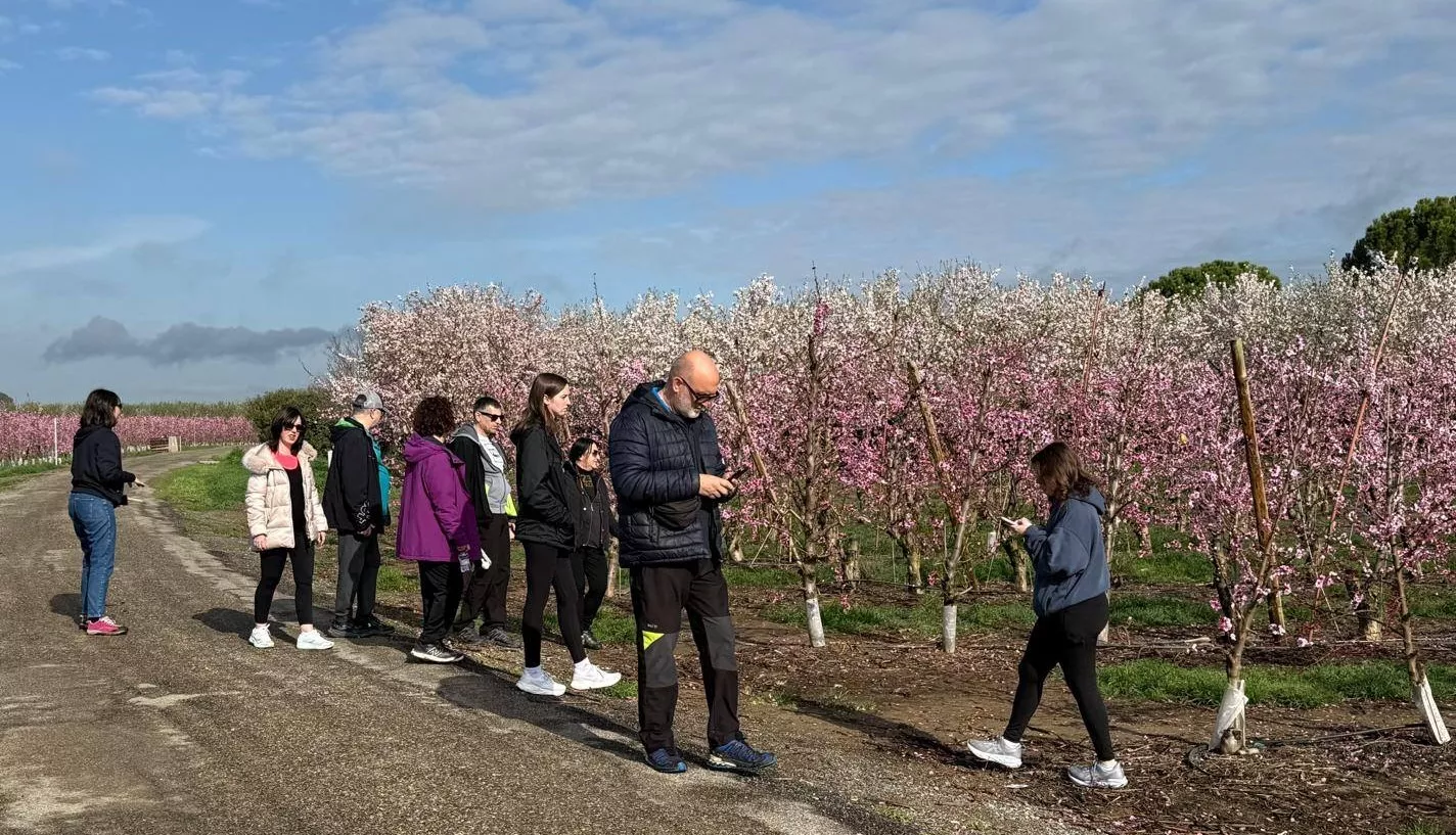 IX Ruta de la Floración de Fraga.