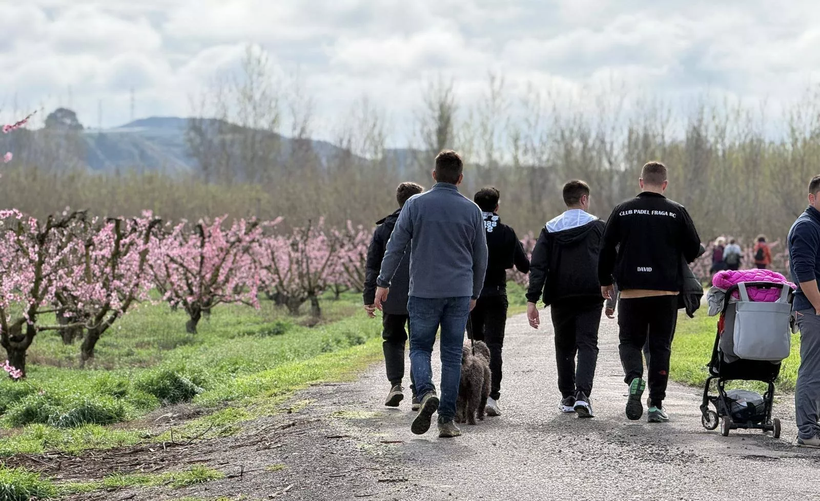 IX Ruta de la Floración de Fraga.