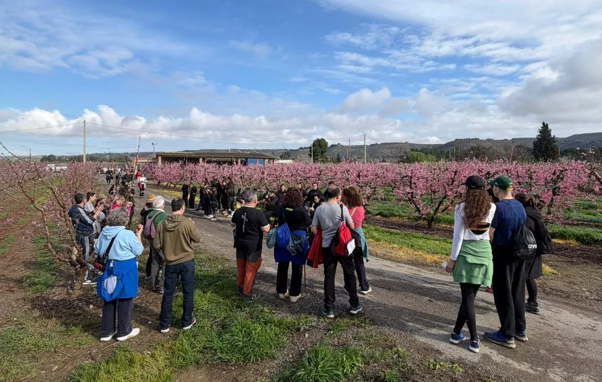 IX Ruta de la Floración de Fraga.
